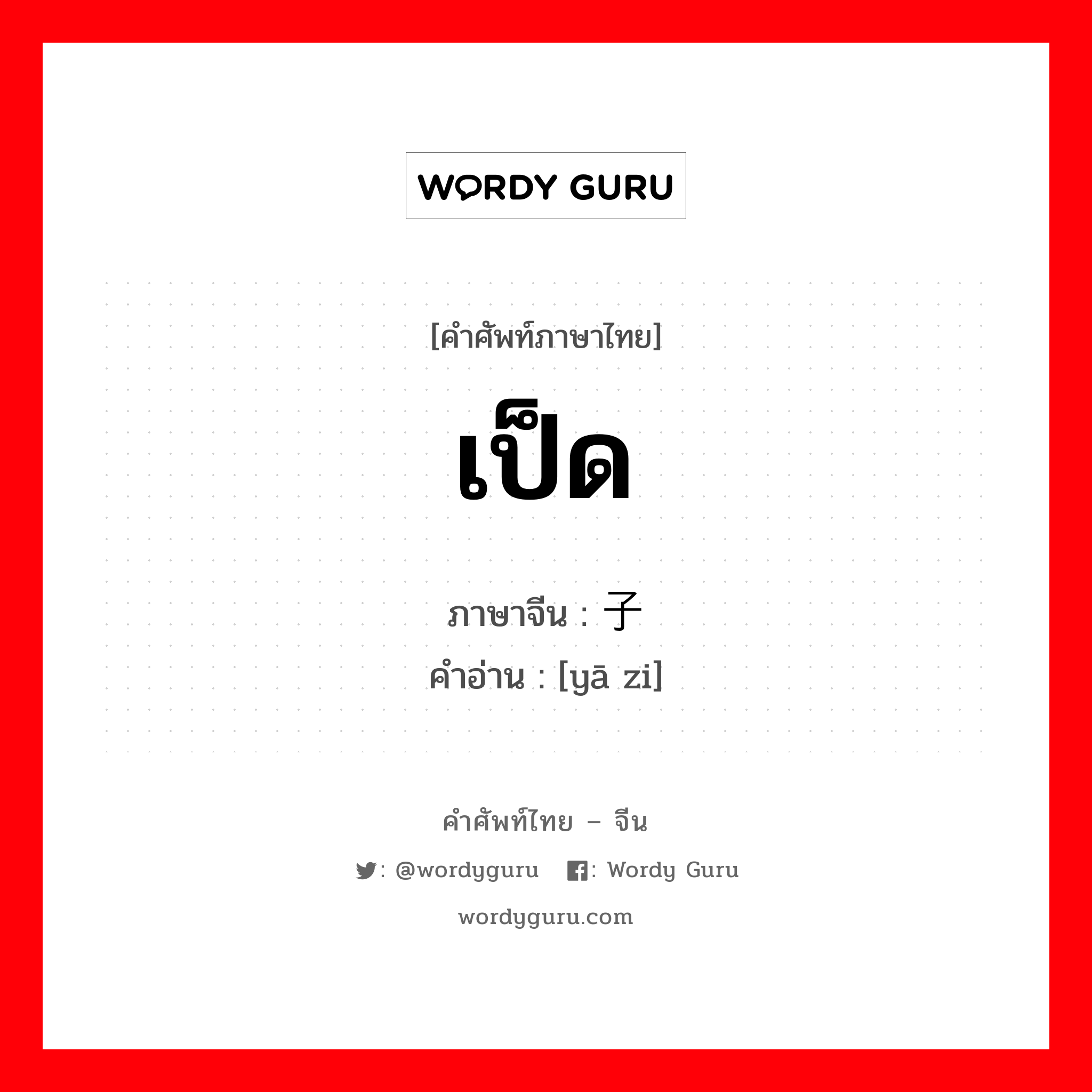 เป็ด ภาษาจีนคืออะไร, คำศัพท์ภาษาไทย - จีน เป็ด ภาษาจีน 鸭子 คำอ่าน [yā zi]