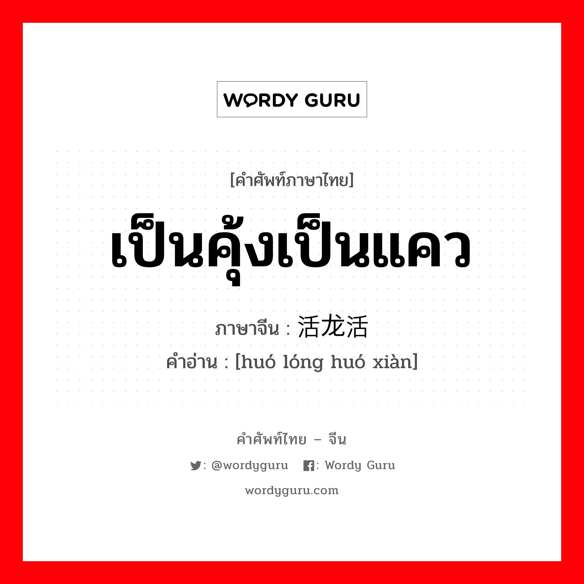 เป็นคุ้งเป็นแคว ภาษาจีนคืออะไร, คำศัพท์ภาษาไทย - จีน เป็นคุ้งเป็นแคว ภาษาจีน 活龙活现 คำอ่าน [huó lóng huó xiàn]