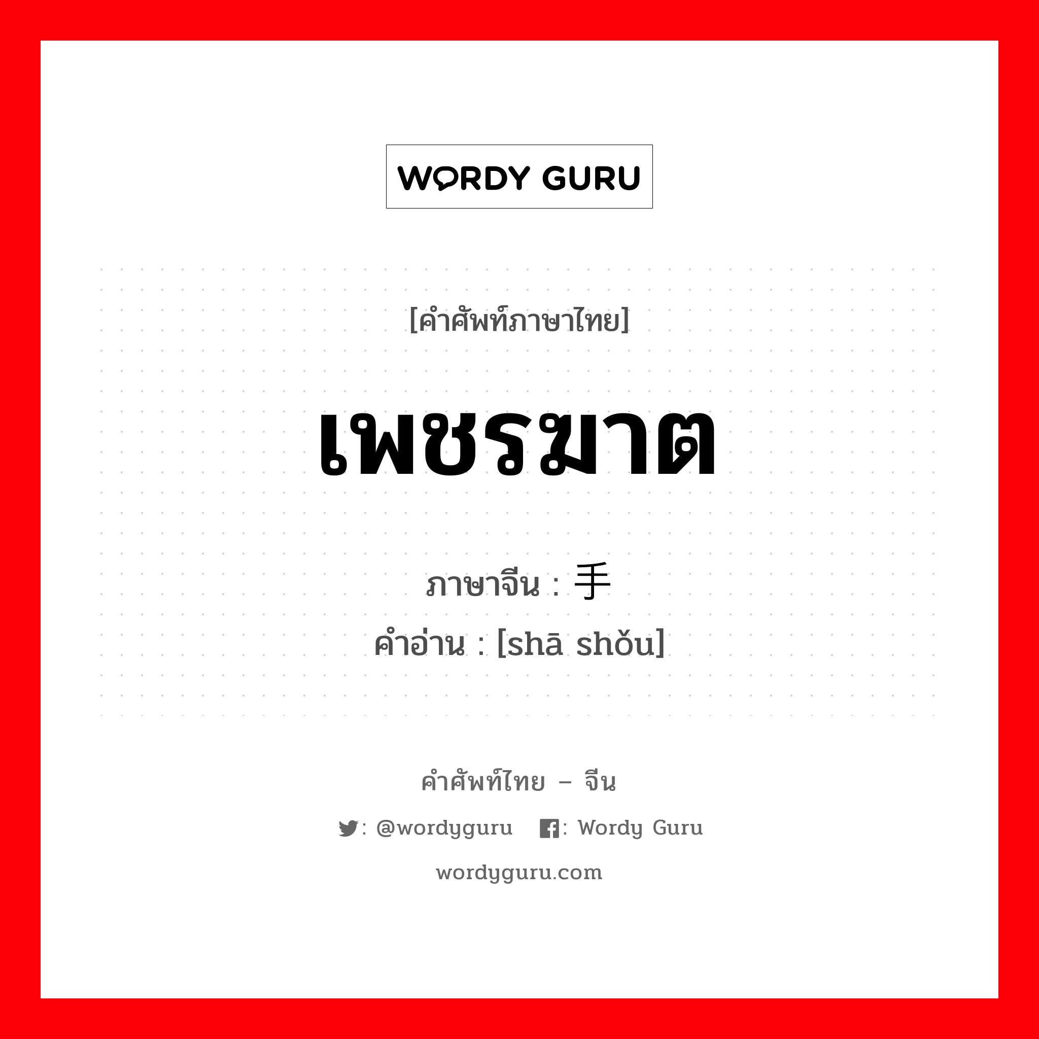 เพชรฆาต ภาษาจีนคืออะไร, คำศัพท์ภาษาไทย - จีน เพชรฆาต ภาษาจีน 杀手 คำอ่าน [shā shǒu]