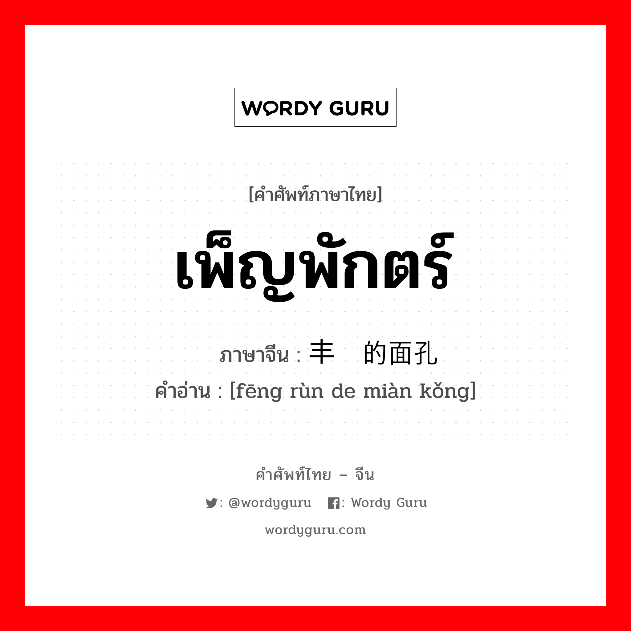 เพ็ญพักตร์ ภาษาจีนคืออะไร, คำศัพท์ภาษาไทย - จีน เพ็ญพักตร์ ภาษาจีน 丰润的面孔 คำอ่าน [fēng rùn de miàn kǒng]