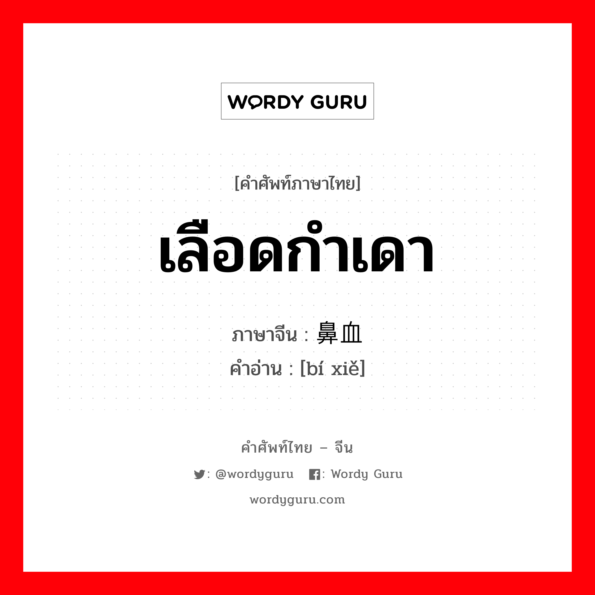 เลือดกำเดา ภาษาจีนคืออะไร, คำศัพท์ภาษาไทย - จีน เลือดกำเดา ภาษาจีน 鼻血 คำอ่าน [bí xiě]