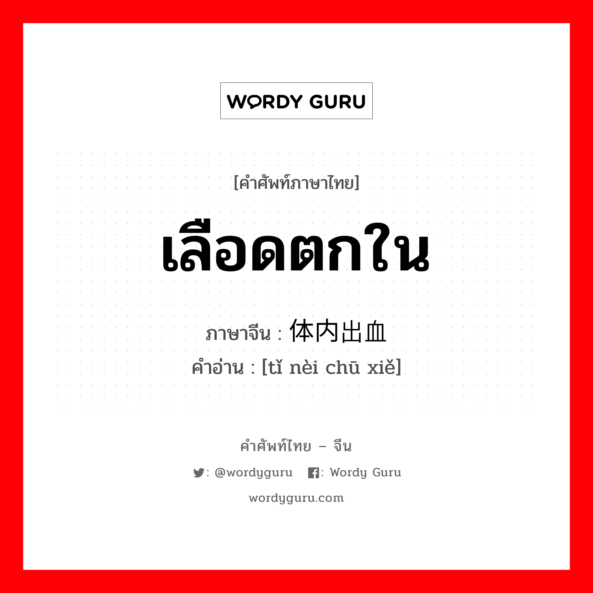 เลือดตกใน ภาษาจีนคืออะไร, คำศัพท์ภาษาไทย - จีน เลือดตกใน ภาษาจีน 体内出血 คำอ่าน [tǐ nèi chū xiě]