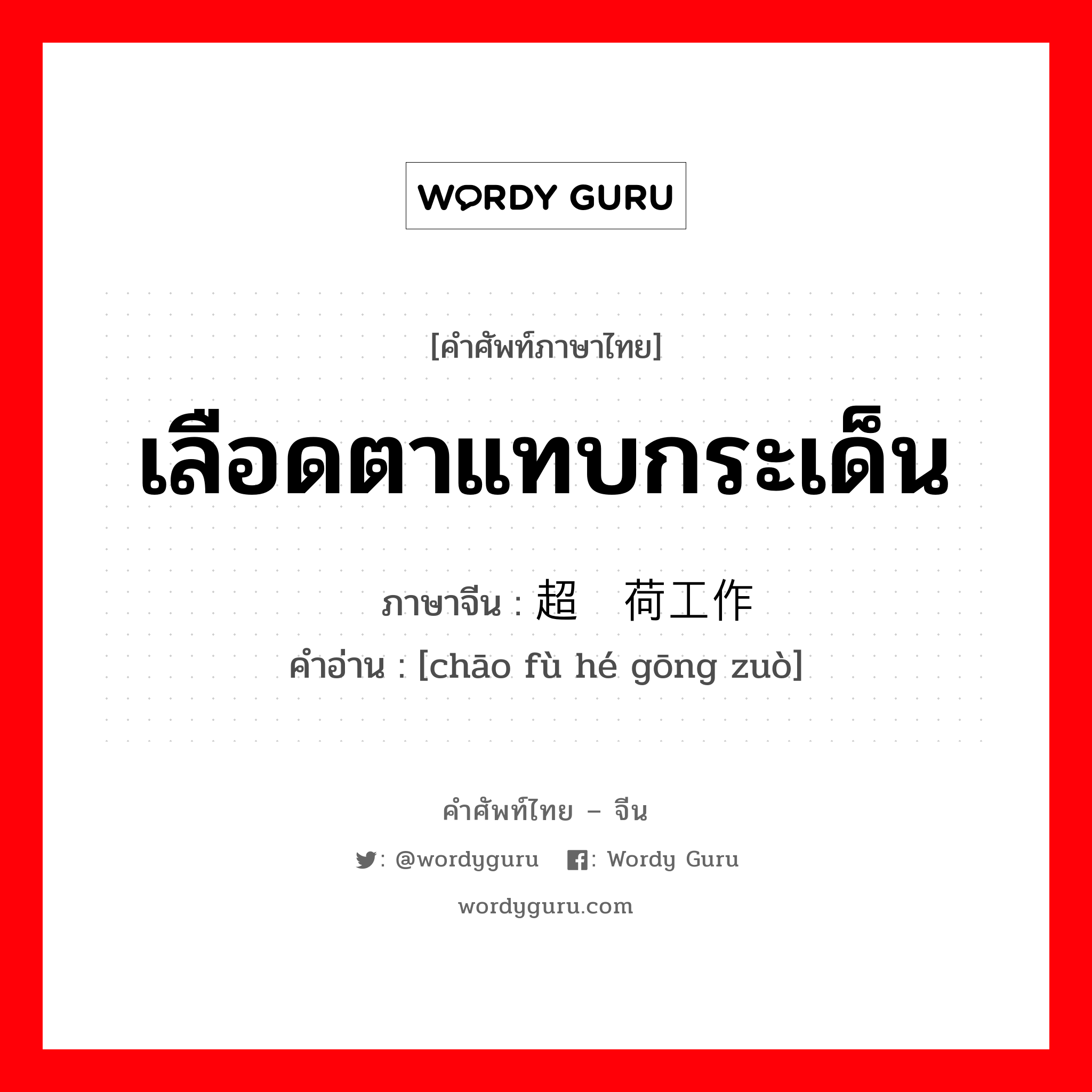 เลือดตาแทบกระเด็น ภาษาจีนคืออะไร, คำศัพท์ภาษาไทย - จีน เลือดตาแทบกระเด็น ภาษาจีน 超负荷工作 คำอ่าน [chāo fù hé gōng zuò]