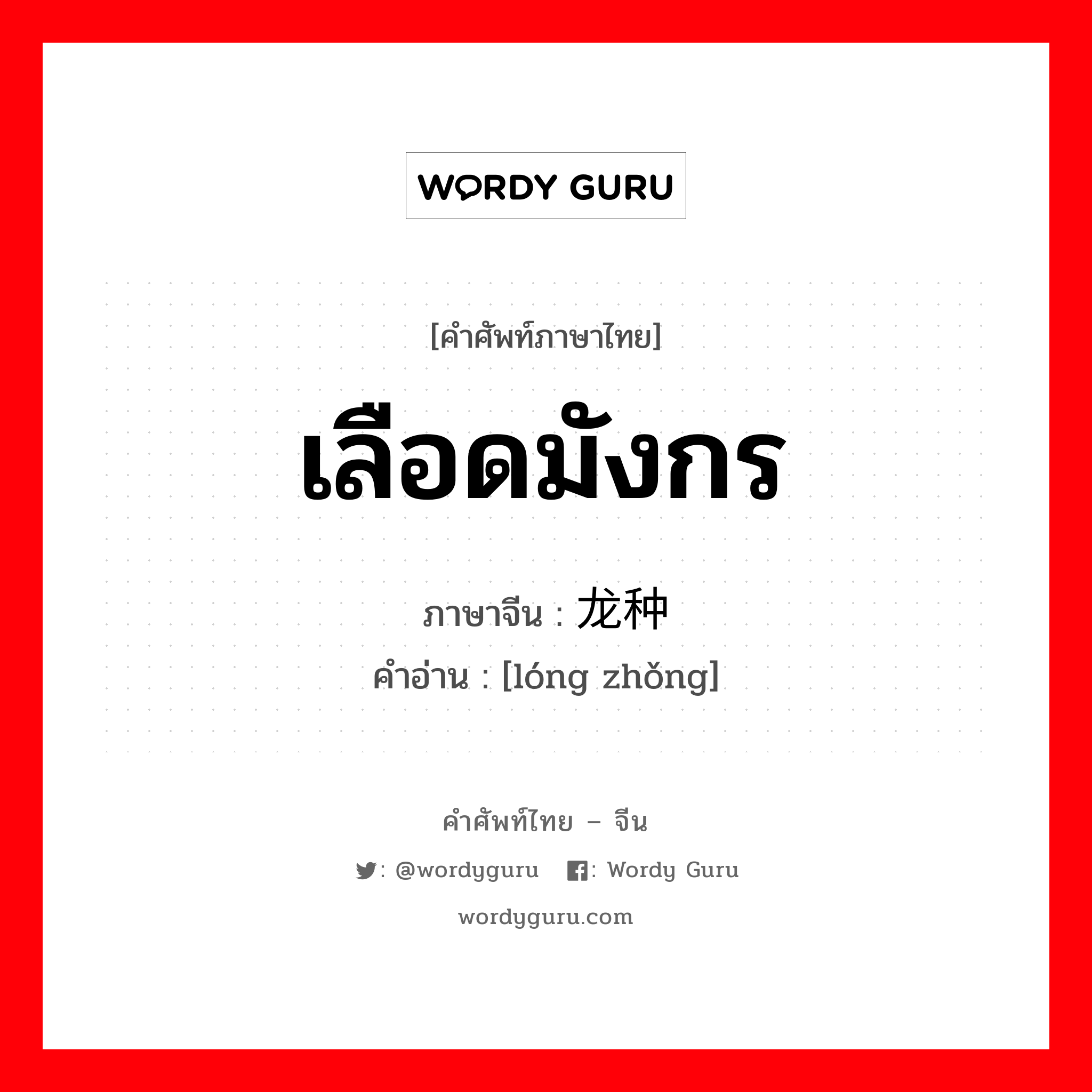 เลือดมังกร ภาษาจีนคืออะไร, คำศัพท์ภาษาไทย - จีน เลือดมังกร ภาษาจีน 龙种 คำอ่าน [lóng zhǒng]