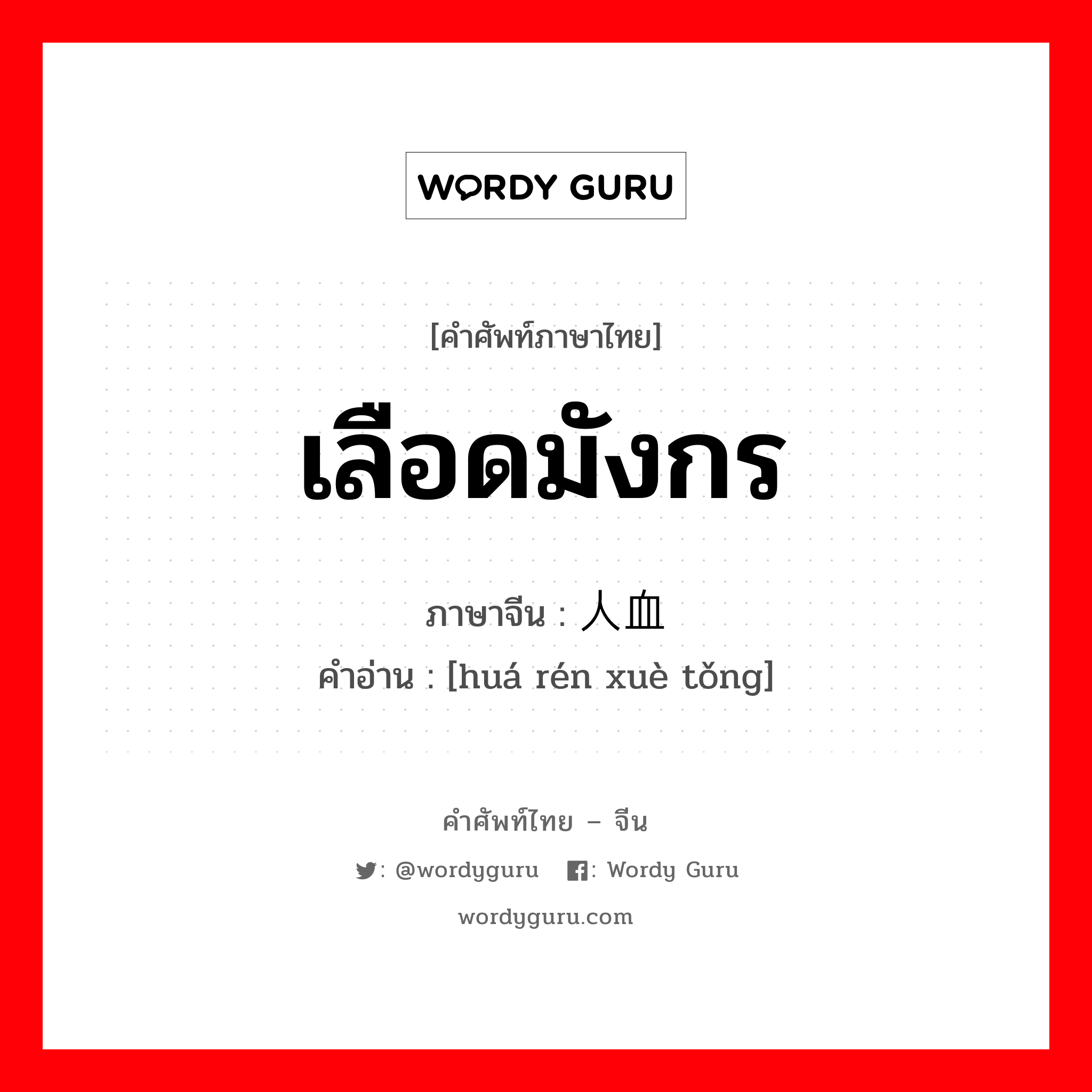 เลือดมังกร ภาษาจีนคืออะไร, คำศัพท์ภาษาไทย - จีน เลือดมังกร ภาษาจีน 华人血统 คำอ่าน [huá rén xuè tǒng]