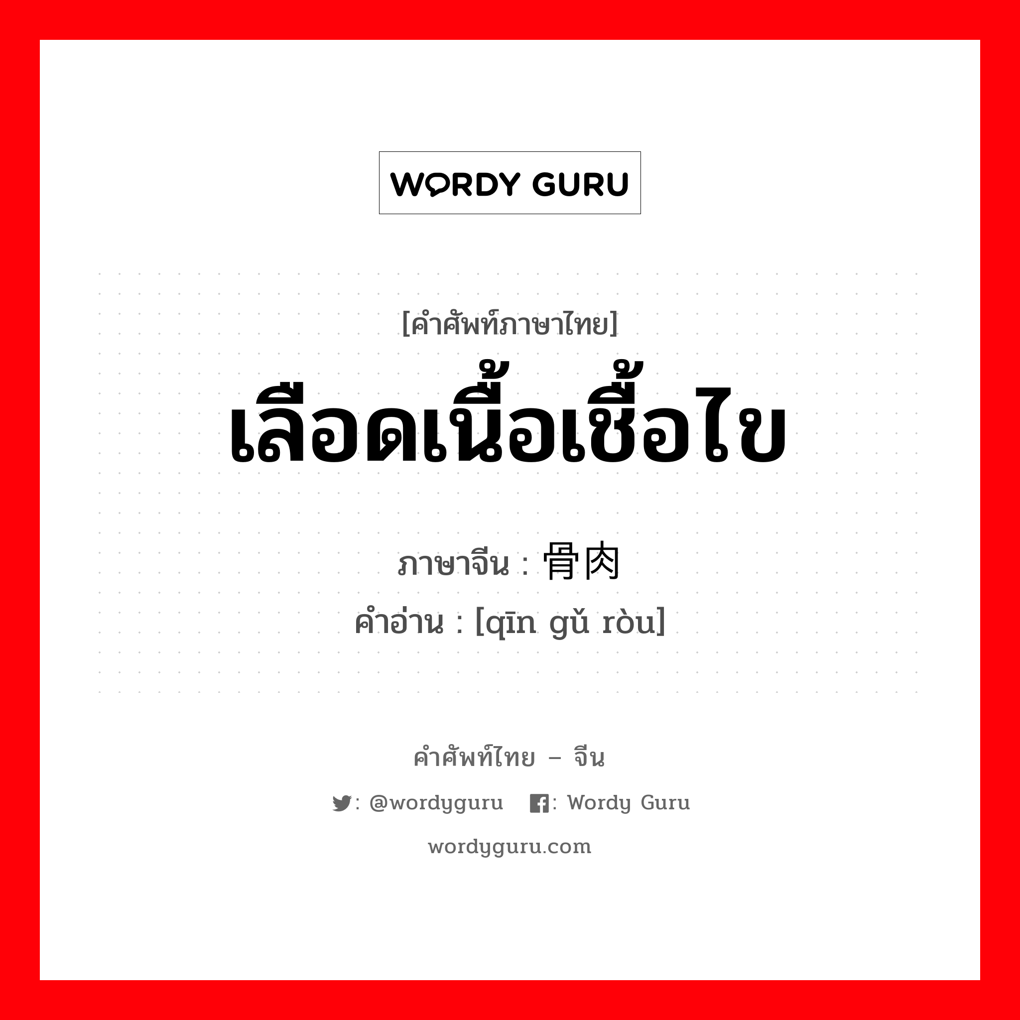 เลือดเนื้อเชื้อไข ภาษาจีนคืออะไร, คำศัพท์ภาษาไทย - จีน เลือดเนื้อเชื้อไข ภาษาจีน 亲骨肉 คำอ่าน [qīn gǔ ròu]