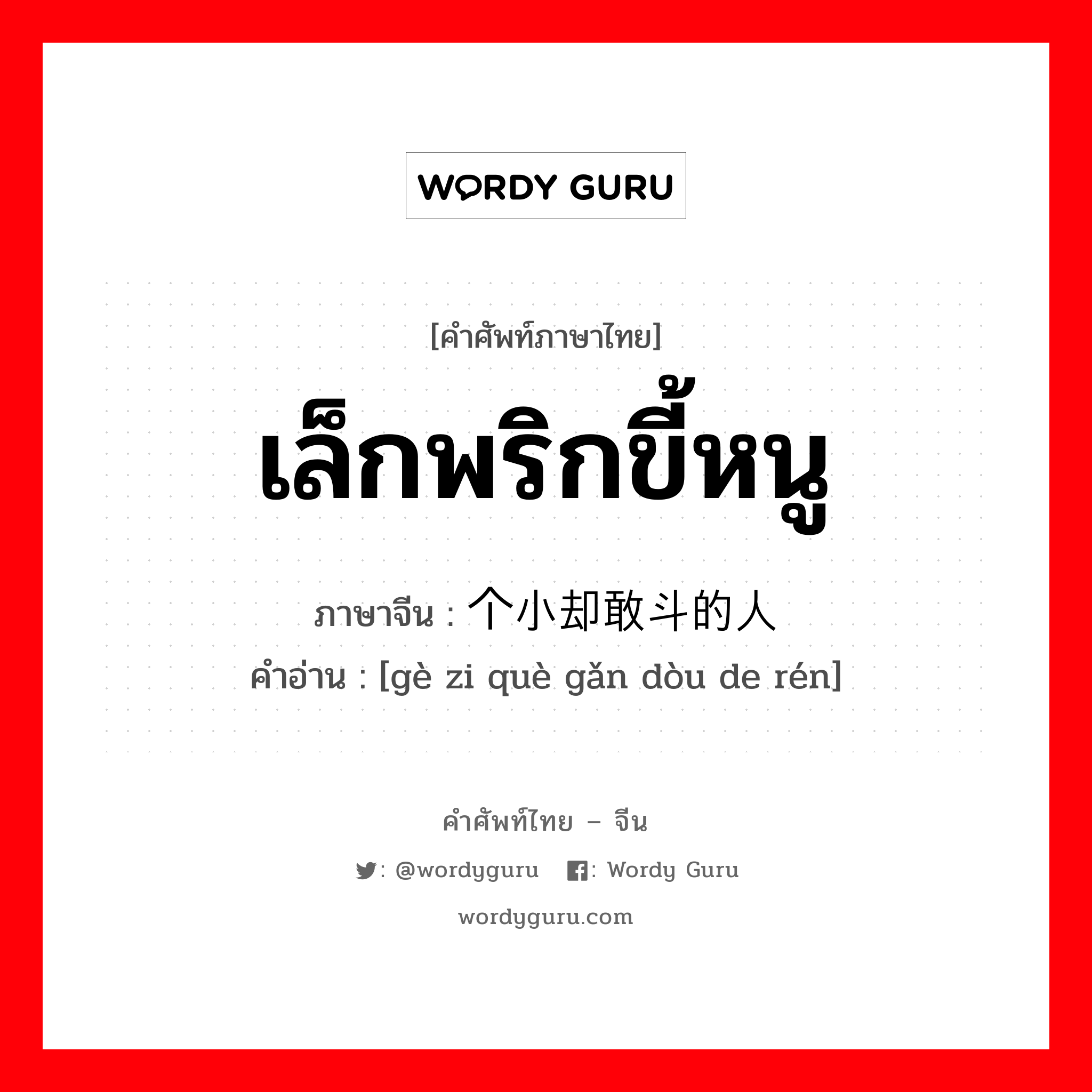 เล็กพริกขี้หนู ภาษาจีนคืออะไร, คำศัพท์ภาษาไทย - จีน เล็กพริกขี้หนู ภาษาจีน 个小却敢斗的人 คำอ่าน [gè zi què gǎn dòu de rén]