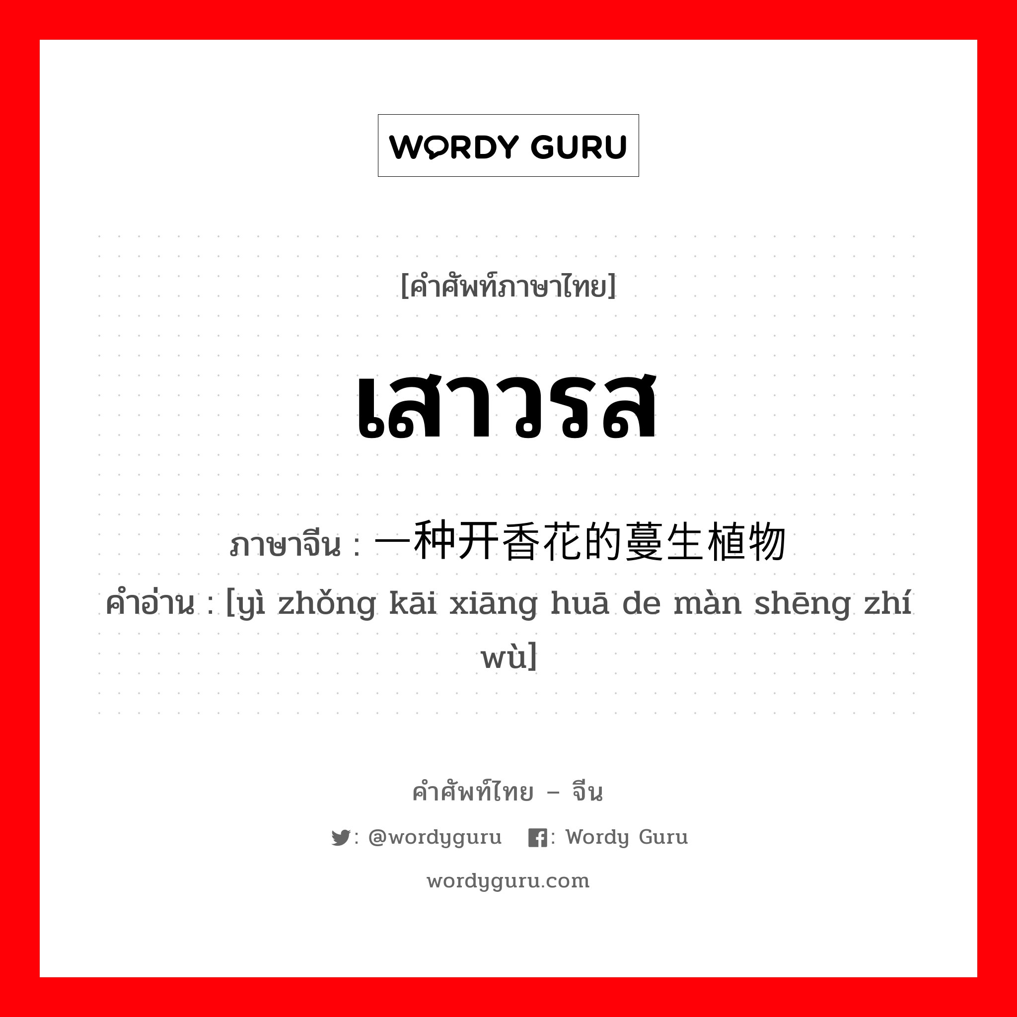 เสาวรส ภาษาจีนคืออะไร, คำศัพท์ภาษาไทย - จีน เสาวรส ภาษาจีน 一种开香花的蔓生植物 คำอ่าน [yì zhǒng kāi xiāng huā de màn shēng zhí wù]