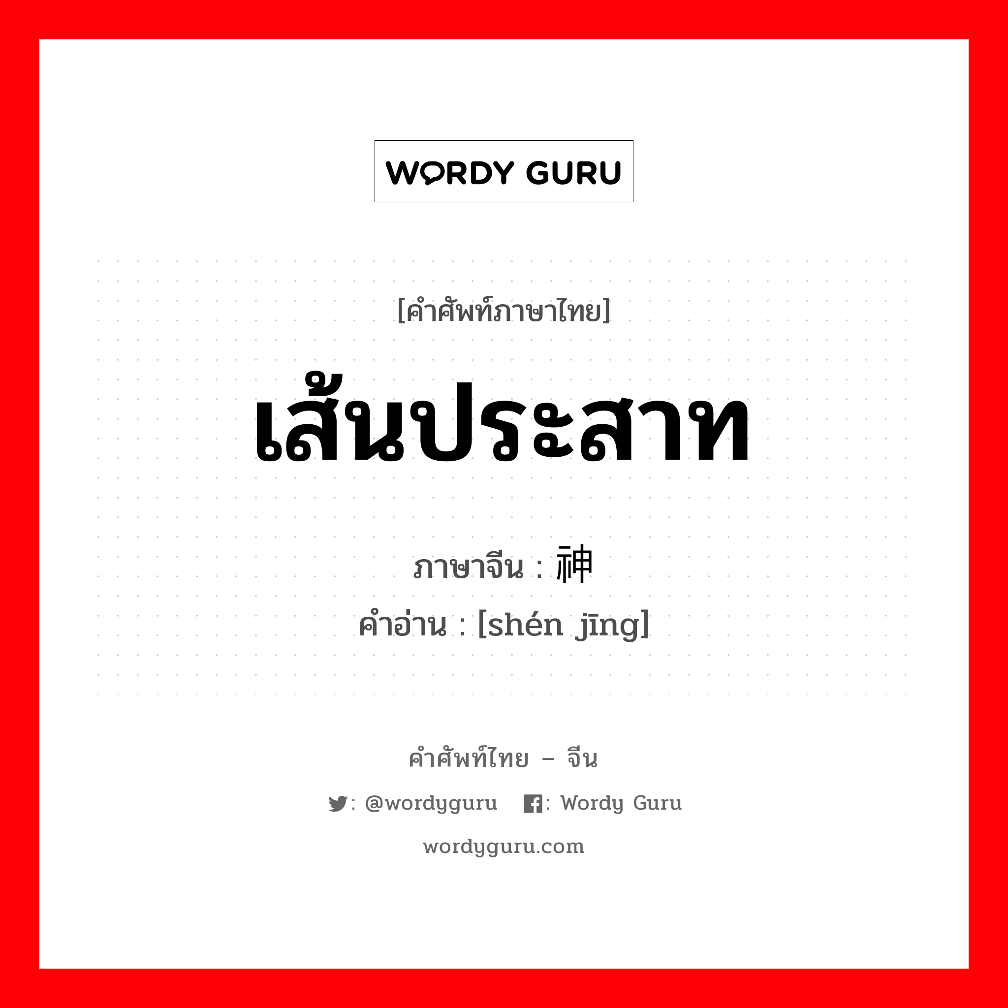 เส้นประสาท ภาษาจีนคืออะไร, คำศัพท์ภาษาไทย - จีน เส้นประสาท ภาษาจีน 神经 คำอ่าน [shén jīng]