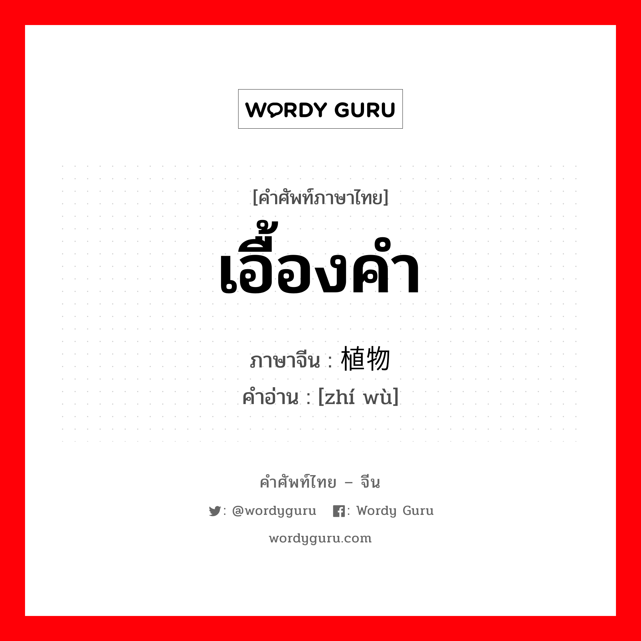 เอื้องคำ ภาษาจีนคืออะไร, คำศัพท์ภาษาไทย - จีน เอื้องคำ ภาษาจีน 植物 คำอ่าน [zhí wù]