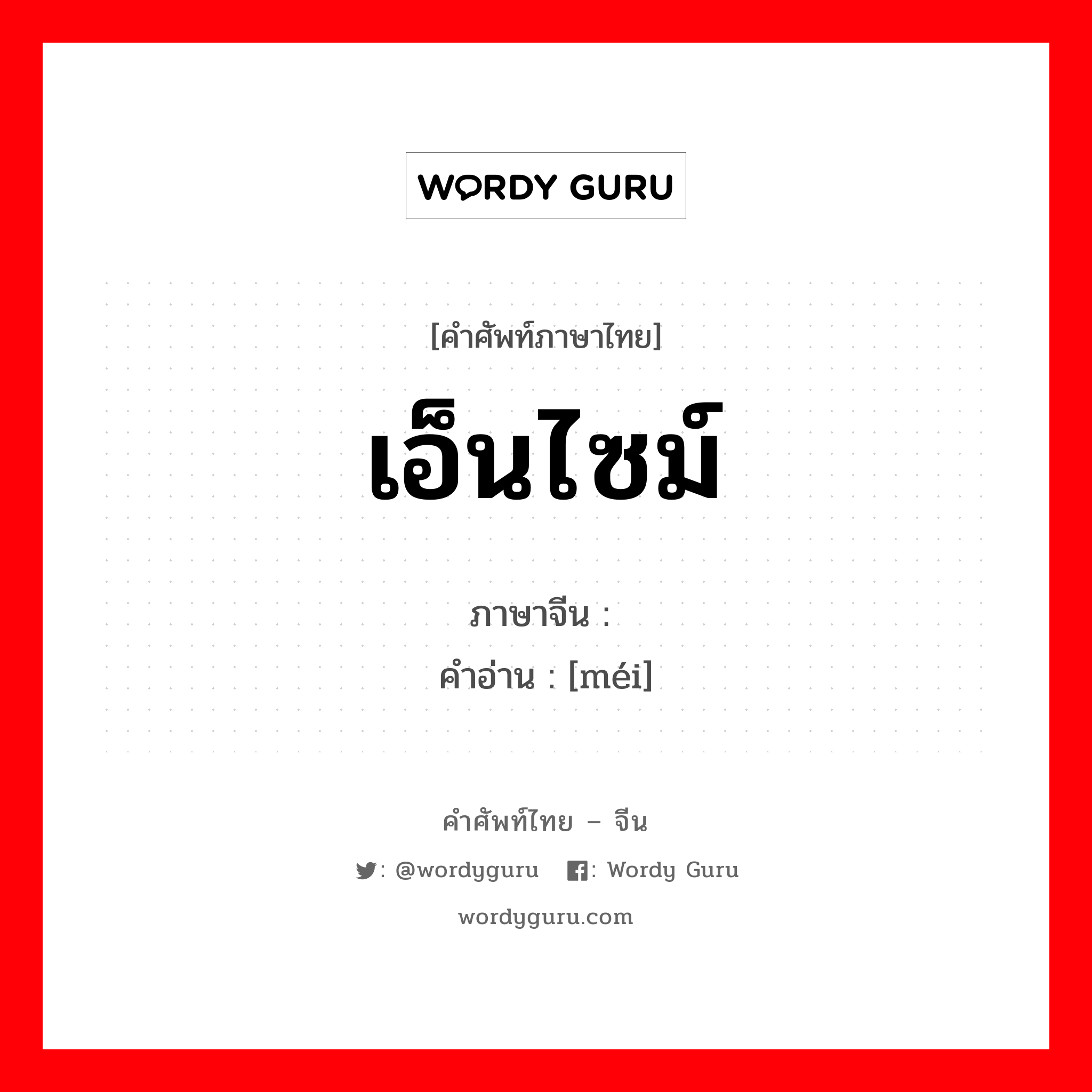 เอ็นไซม์ ภาษาจีนคืออะไร, คำศัพท์ภาษาไทย - จีน เอ็นไซม์ ภาษาจีน 酶 คำอ่าน [méi]