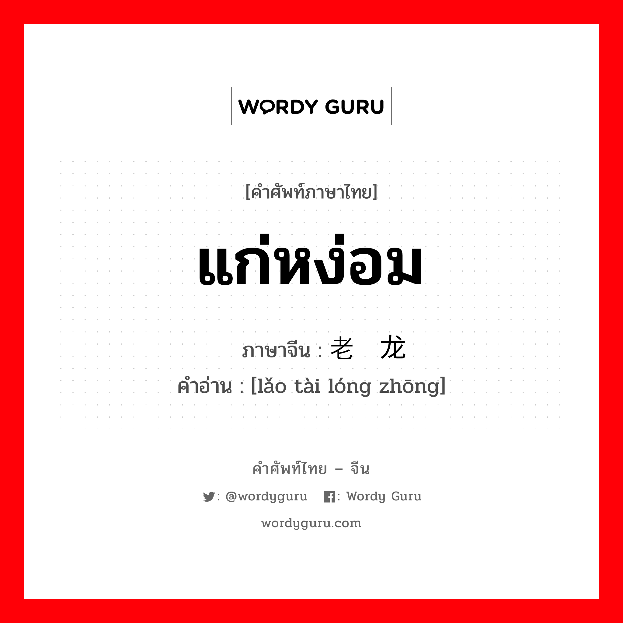 แก่หง่อม ภาษาจีนคืออะไร, คำศัพท์ภาษาไทย - จีน แก่หง่อม ภาษาจีน 老态龙钟 คำอ่าน [lǎo tài lóng zhōng]