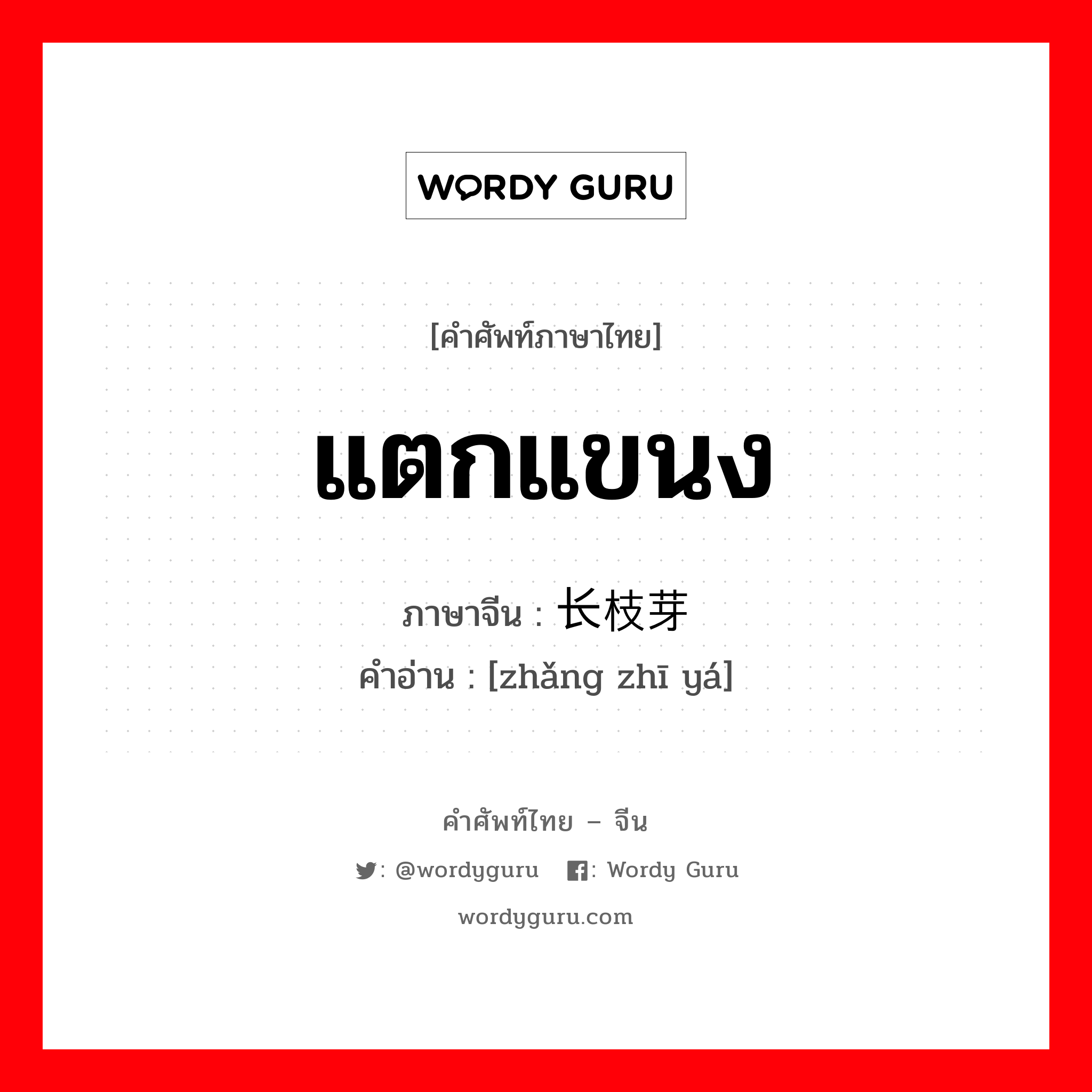 แตกแขนง ภาษาจีนคืออะไร, คำศัพท์ภาษาไทย - จีน แตกแขนง ภาษาจีน 长枝芽 คำอ่าน [zhǎng zhī yá]