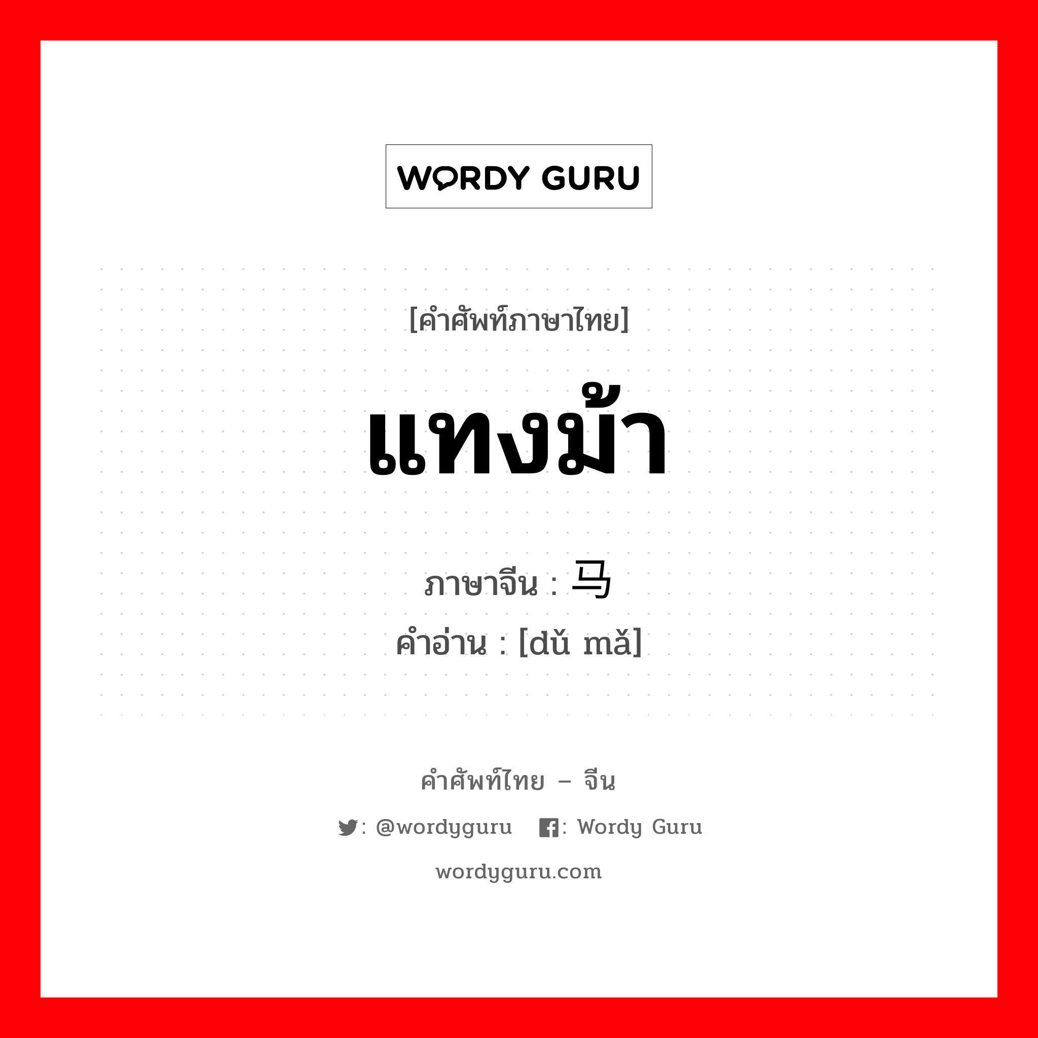 แทงม้า ภาษาจีนคืออะไร, คำศัพท์ภาษาไทย - จีน แทงม้า ภาษาจีน 赌马 คำอ่าน [dǔ mǎ]