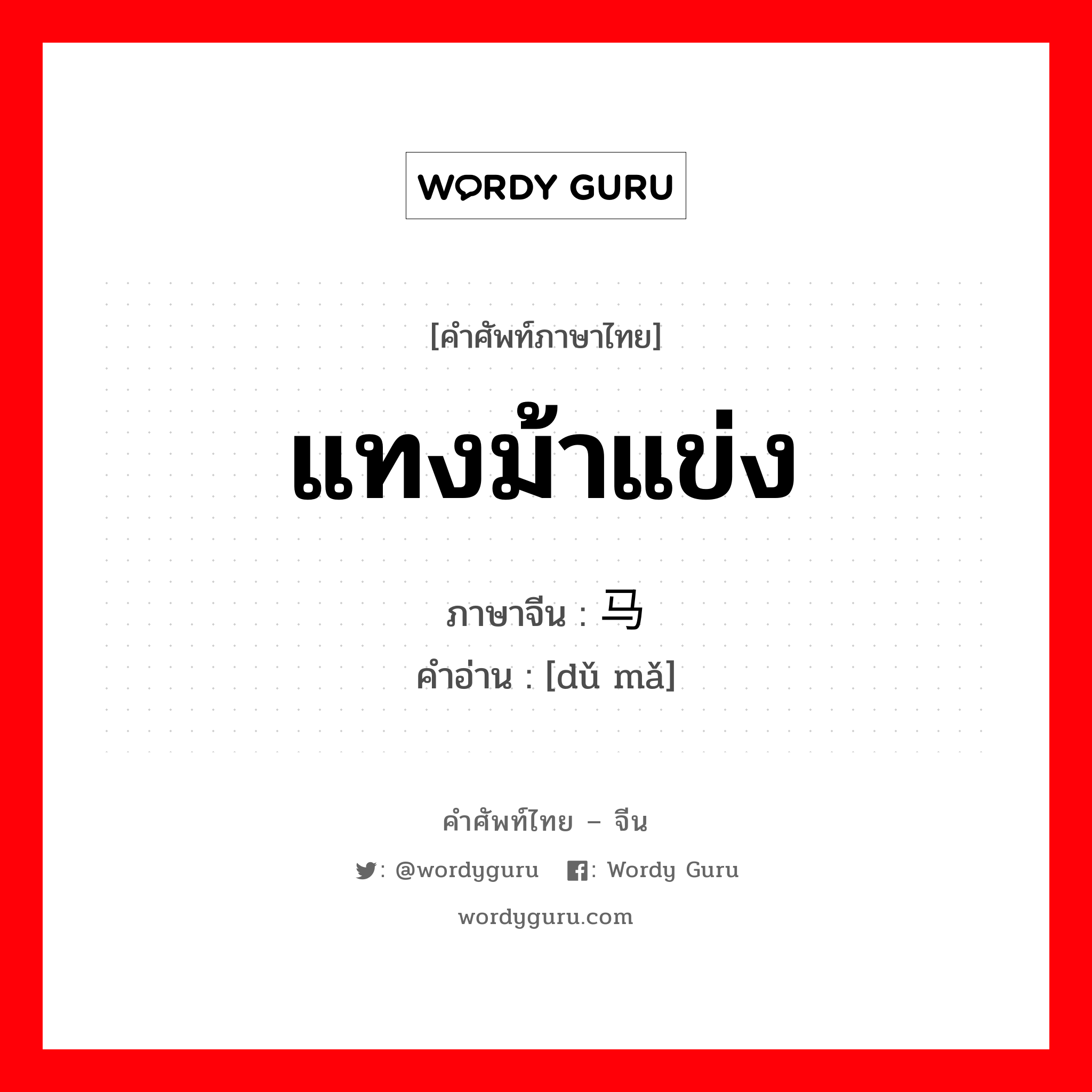 แทงม้าแข่ง ภาษาจีนคืออะไร, คำศัพท์ภาษาไทย - จีน แทงม้าแข่ง ภาษาจีน 赌马 คำอ่าน [dǔ mǎ]