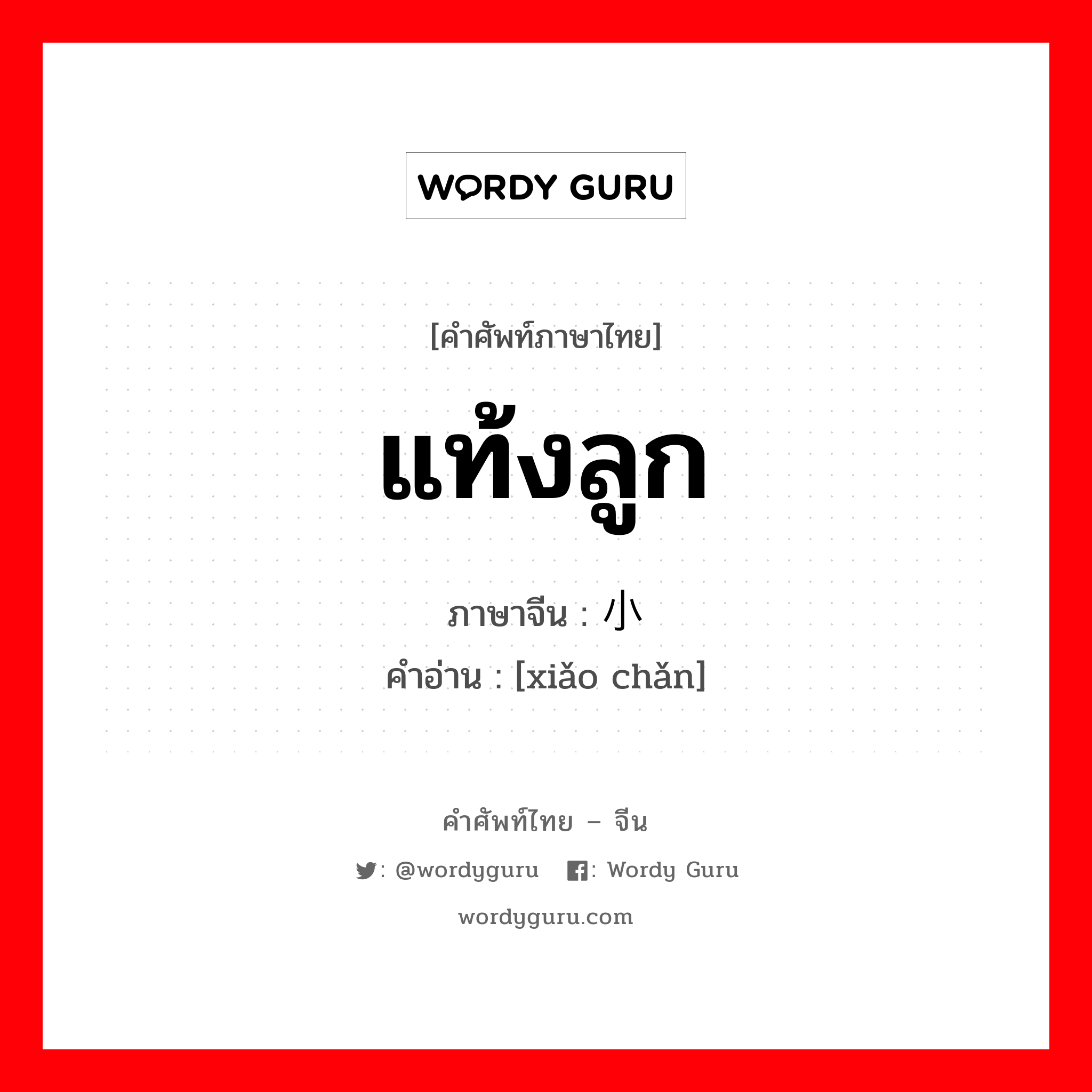 แท้งลูก ภาษาจีนคืออะไร, คำศัพท์ภาษาไทย - จีน แท้งลูก ภาษาจีน 小产 คำอ่าน [xiǎo chǎn]