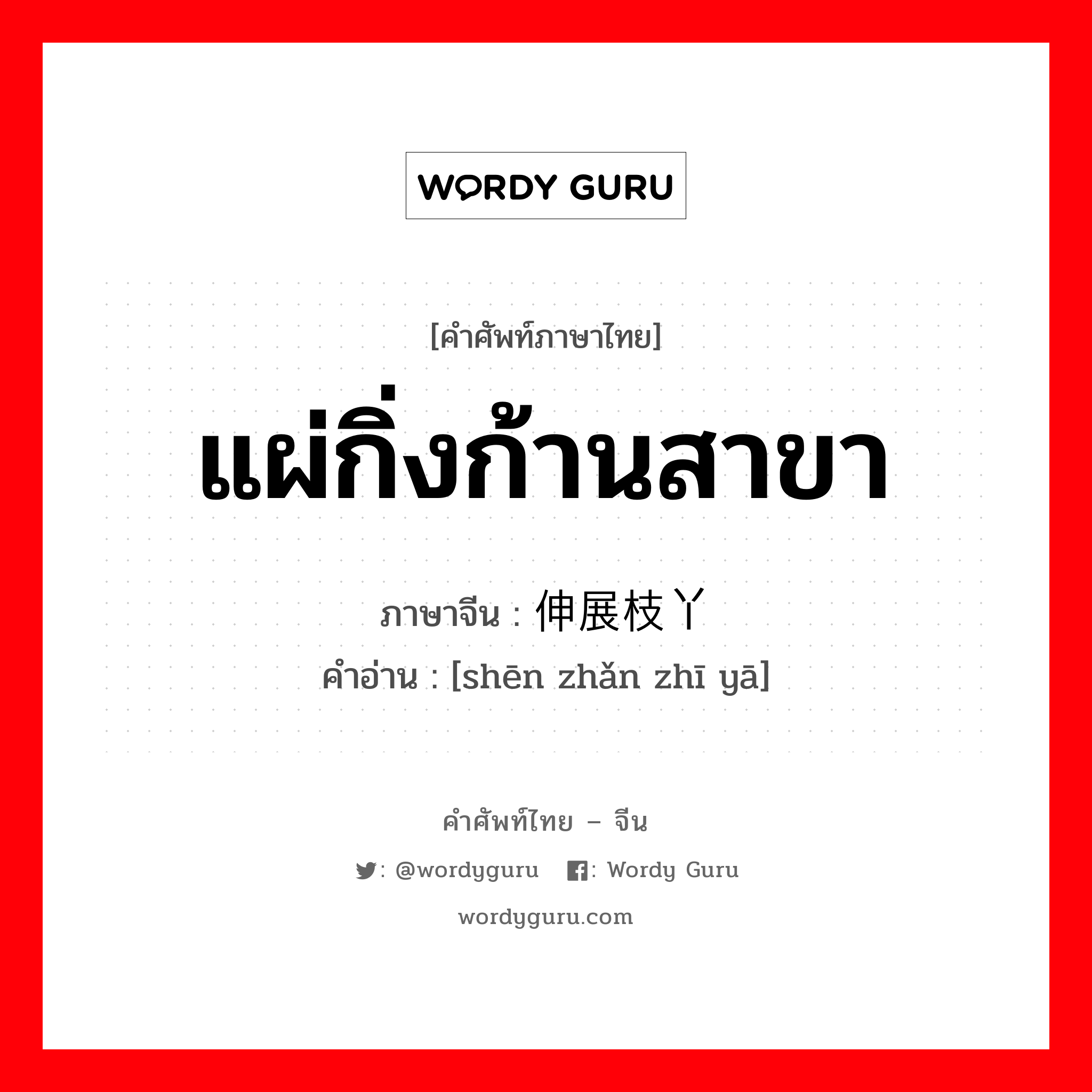 แผ่กิ่งก้านสาขา ภาษาจีนคืออะไร, คำศัพท์ภาษาไทย - จีน แผ่กิ่งก้านสาขา ภาษาจีน 伸展枝丫 คำอ่าน [shēn zhǎn zhī yā]