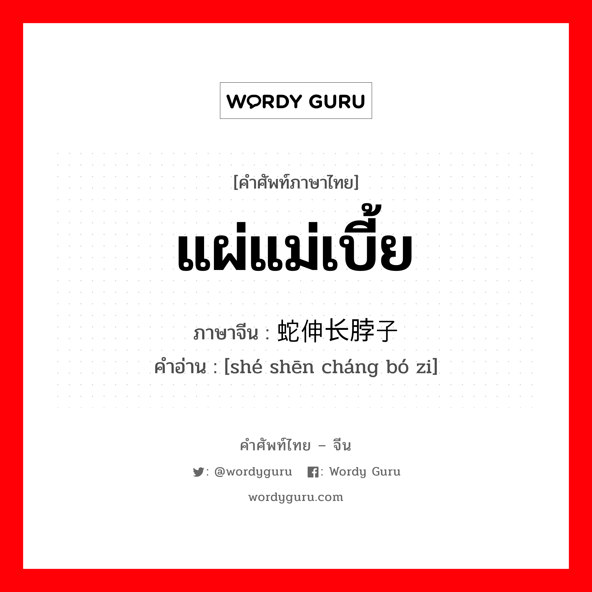 แผ่แม่เบี้ย ภาษาจีนคืออะไร, คำศัพท์ภาษาไทย - จีน แผ่แม่เบี้ย ภาษาจีน 蛇伸长脖子 คำอ่าน [shé shēn cháng bó zi]