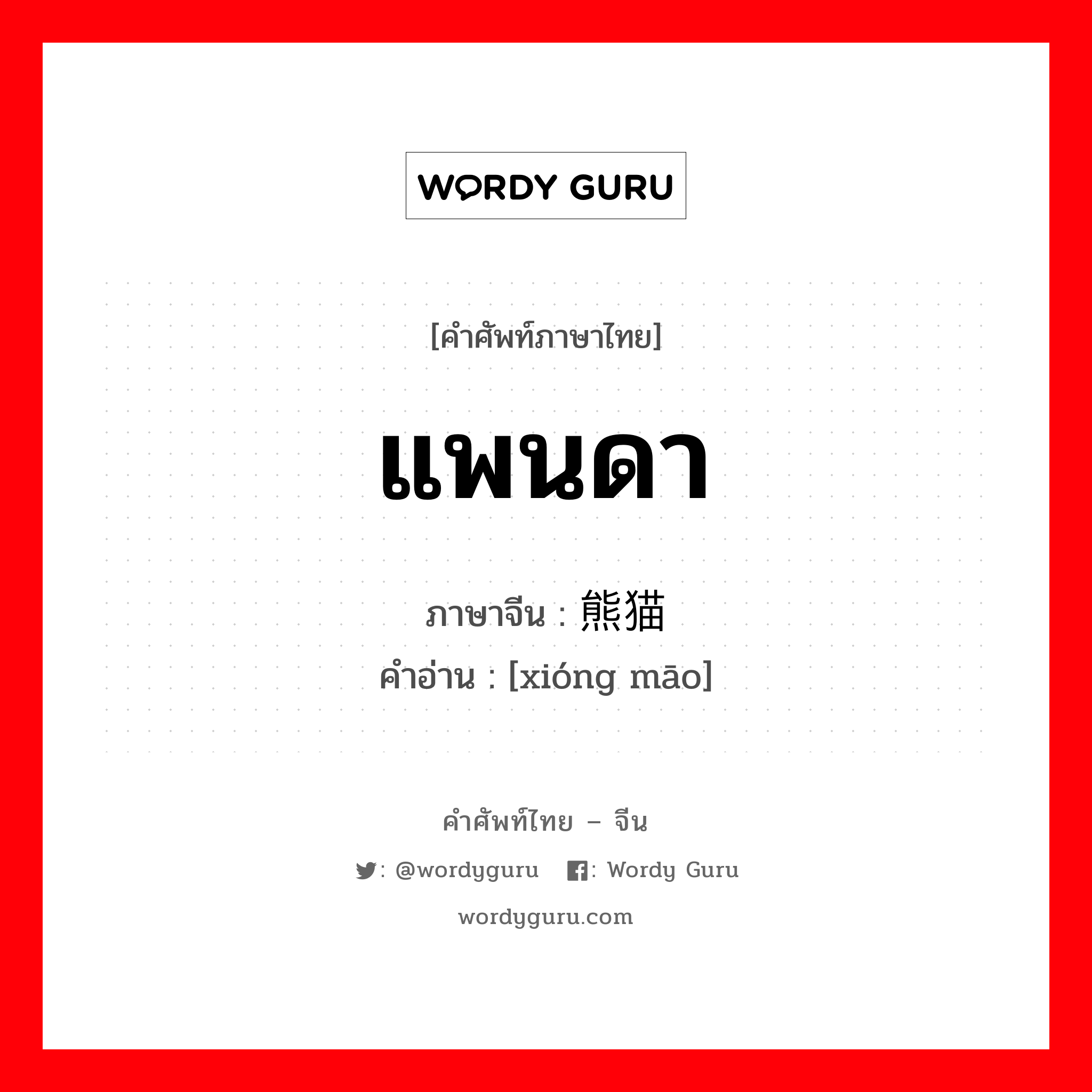 แพนดา ภาษาจีนคืออะไร, คำศัพท์ภาษาไทย - จีน แพนดา ภาษาจีน 熊猫 คำอ่าน [xióng māo]