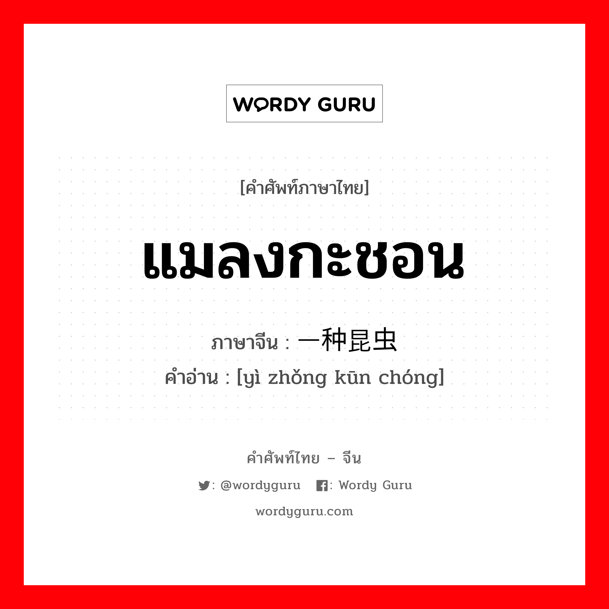 แมลงกะชอน ภาษาจีนคืออะไร, คำศัพท์ภาษาไทย - จีน แมลงกะชอน ภาษาจีน 一种昆虫 คำอ่าน [yì zhǒng kūn chóng]