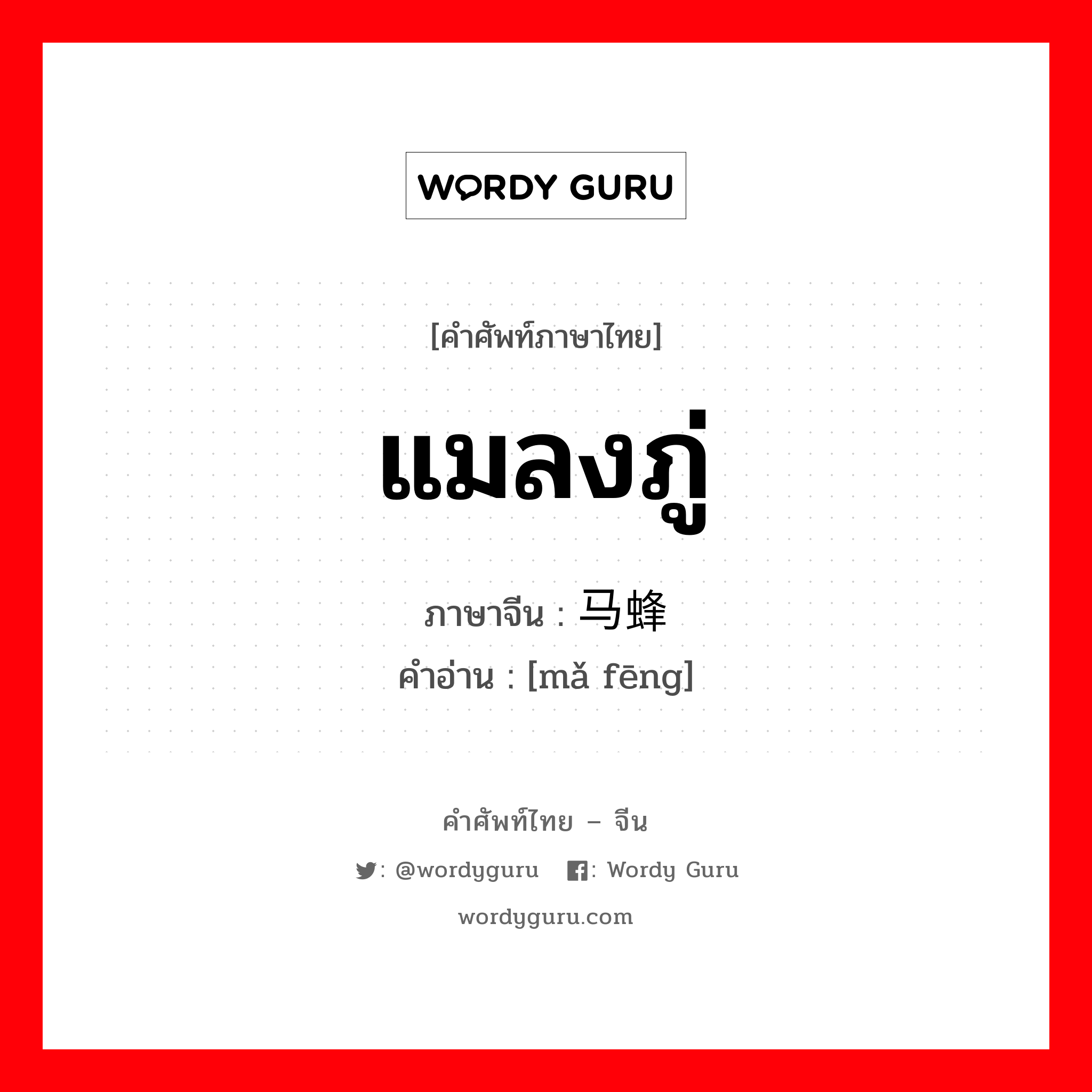 แมลงภู่ ภาษาจีนคืออะไร, คำศัพท์ภาษาไทย - จีน แมลงภู่ ภาษาจีน 马蜂 คำอ่าน [mǎ fēng]