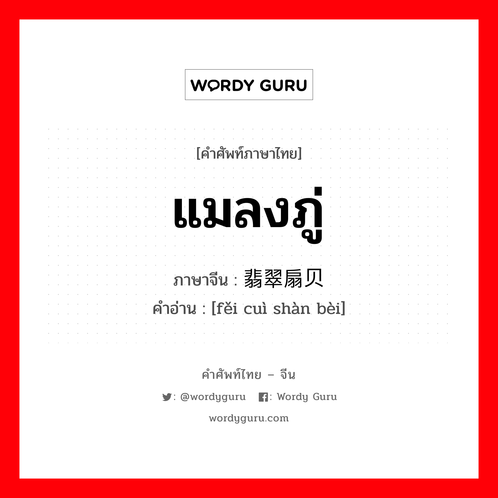 แมลงภู่ ภาษาจีนคืออะไร, คำศัพท์ภาษาไทย - จีน แมลงภู่ ภาษาจีน 翡翠扇贝 คำอ่าน [fěi cuì shàn bèi]