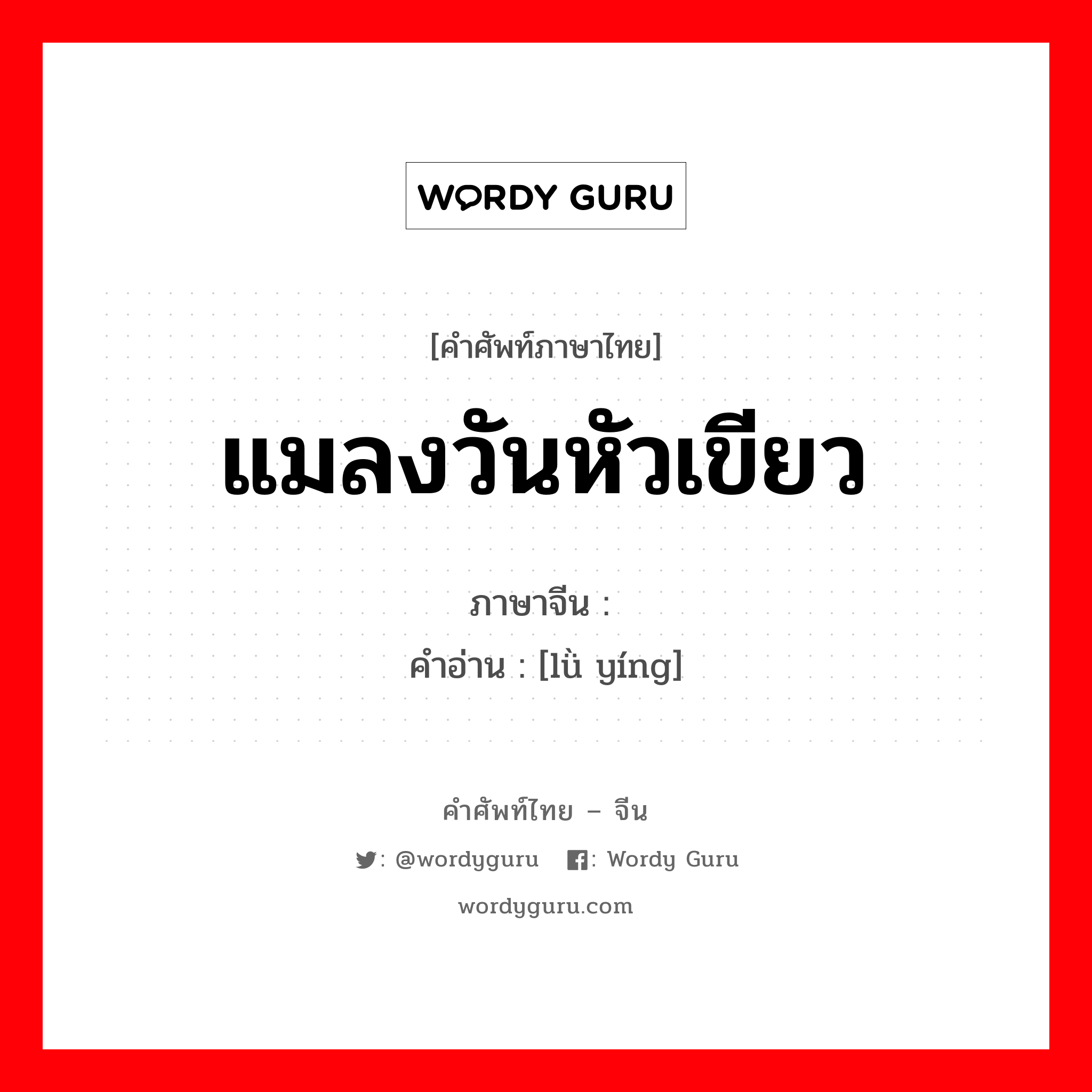 แมลงวันหัวเขียว ภาษาจีนคืออะไร, คำศัพท์ภาษาไทย - จีน แมลงวันหัวเขียว ภาษาจีน 绿蝇 คำอ่าน [lǜ yíng]