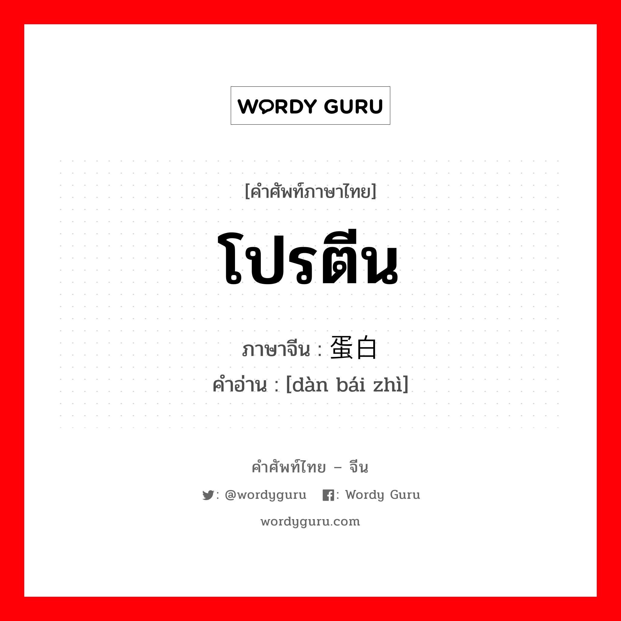 โปรตีน ภาษาจีนคืออะไร, คำศัพท์ภาษาไทย - จีน โปรตีน ภาษาจีน 蛋白质 คำอ่าน [dàn bái zhì]