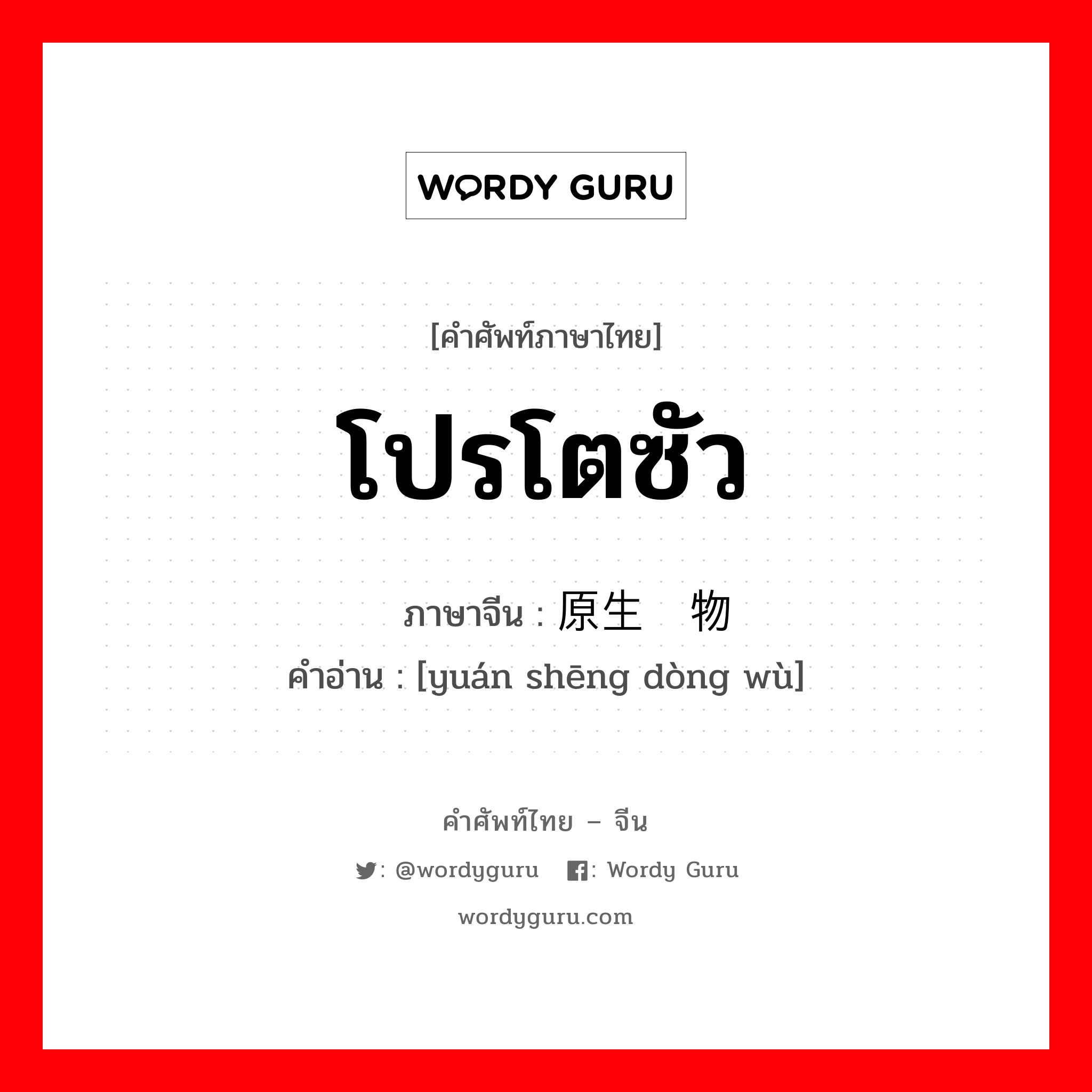 โปรโตซัว ภาษาจีนคืออะไร, คำศัพท์ภาษาไทย - จีน โปรโตซัว ภาษาจีน 原生动物 คำอ่าน [yuán shēng dòng wù]