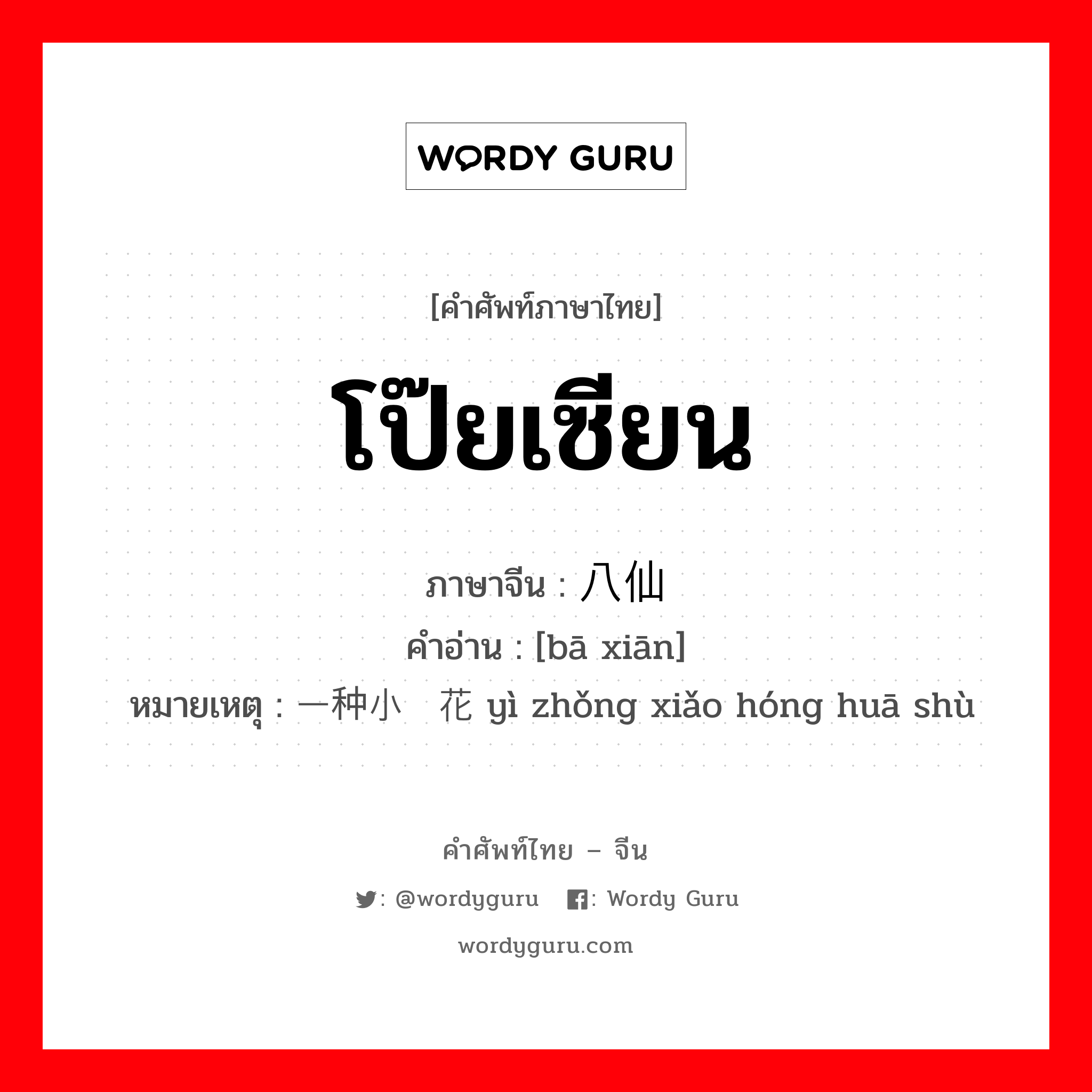 โป๊ยเซียน ภาษาจีนคืออะไร, คำศัพท์ภาษาไทย - จีน โป๊ยเซียน ภาษาจีน 八仙 คำอ่าน [bā xiān] หมายเหตุ 一种小红花树 yì zhǒng xiǎo hóng huā shù