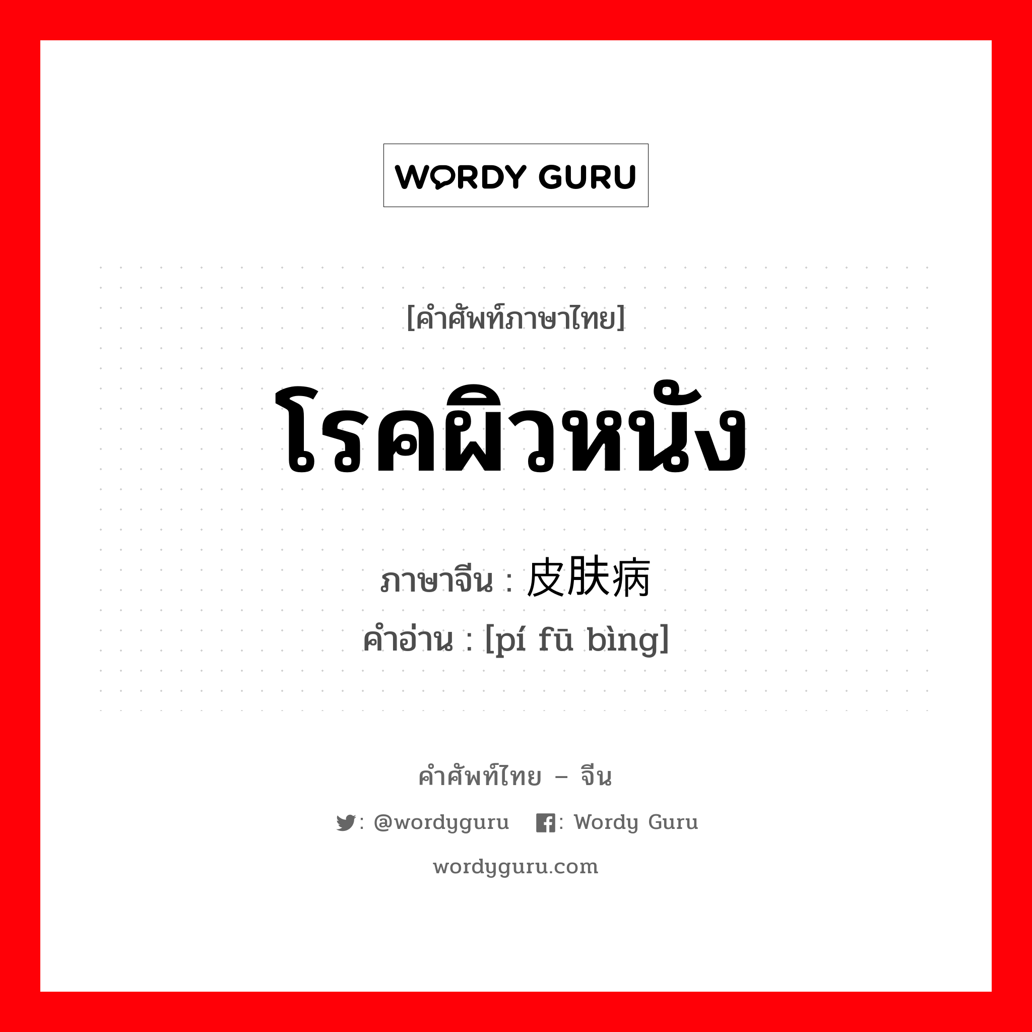 โรคผิวหนัง ภาษาจีนคืออะไร, คำศัพท์ภาษาไทย - จีน โรคผิวหนัง ภาษาจีน 皮肤病 คำอ่าน [pí fū bìng]