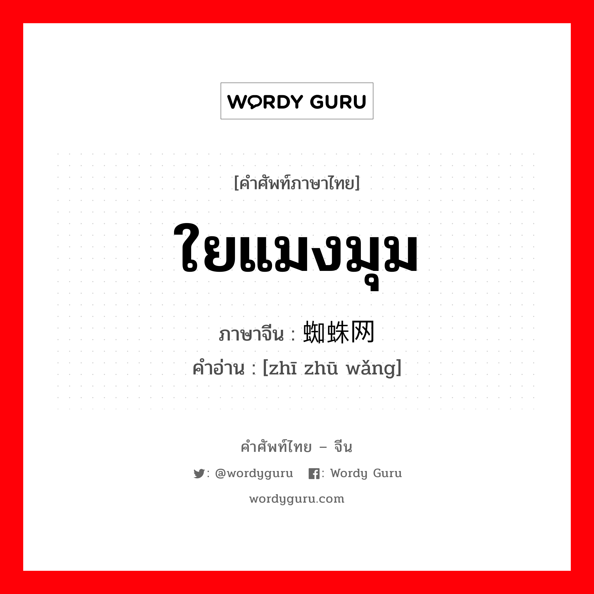 ใยแมงมุม ภาษาจีนคืออะไร, คำศัพท์ภาษาไทย - จีน ใยแมงมุม ภาษาจีน 蜘蛛网 คำอ่าน [zhī zhū wǎng]