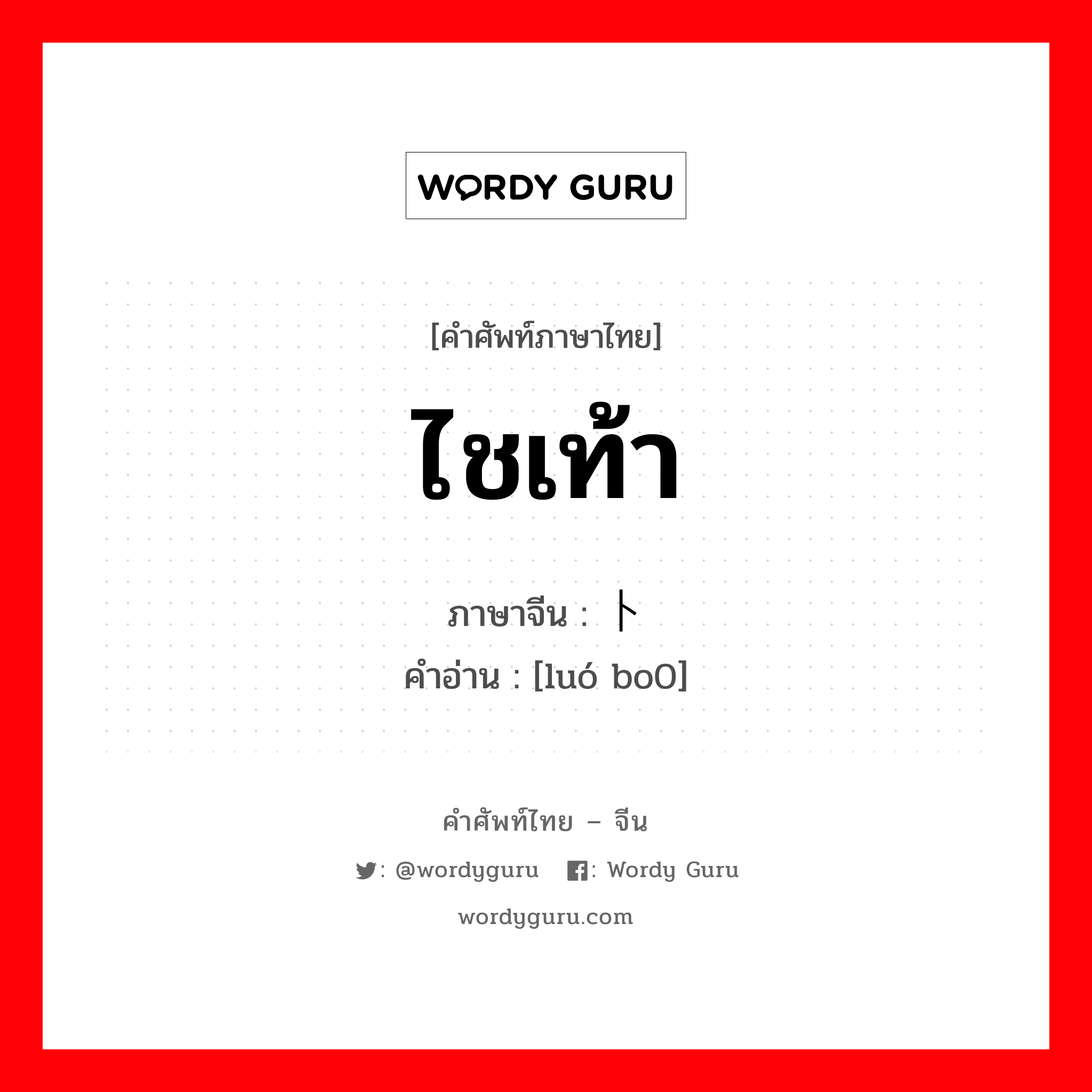 ไชเท้า ภาษาจีนคืออะไร, คำศัพท์ภาษาไทย - จีน ไชเท้า ภาษาจีน 萝卜 คำอ่าน [luó bo0]