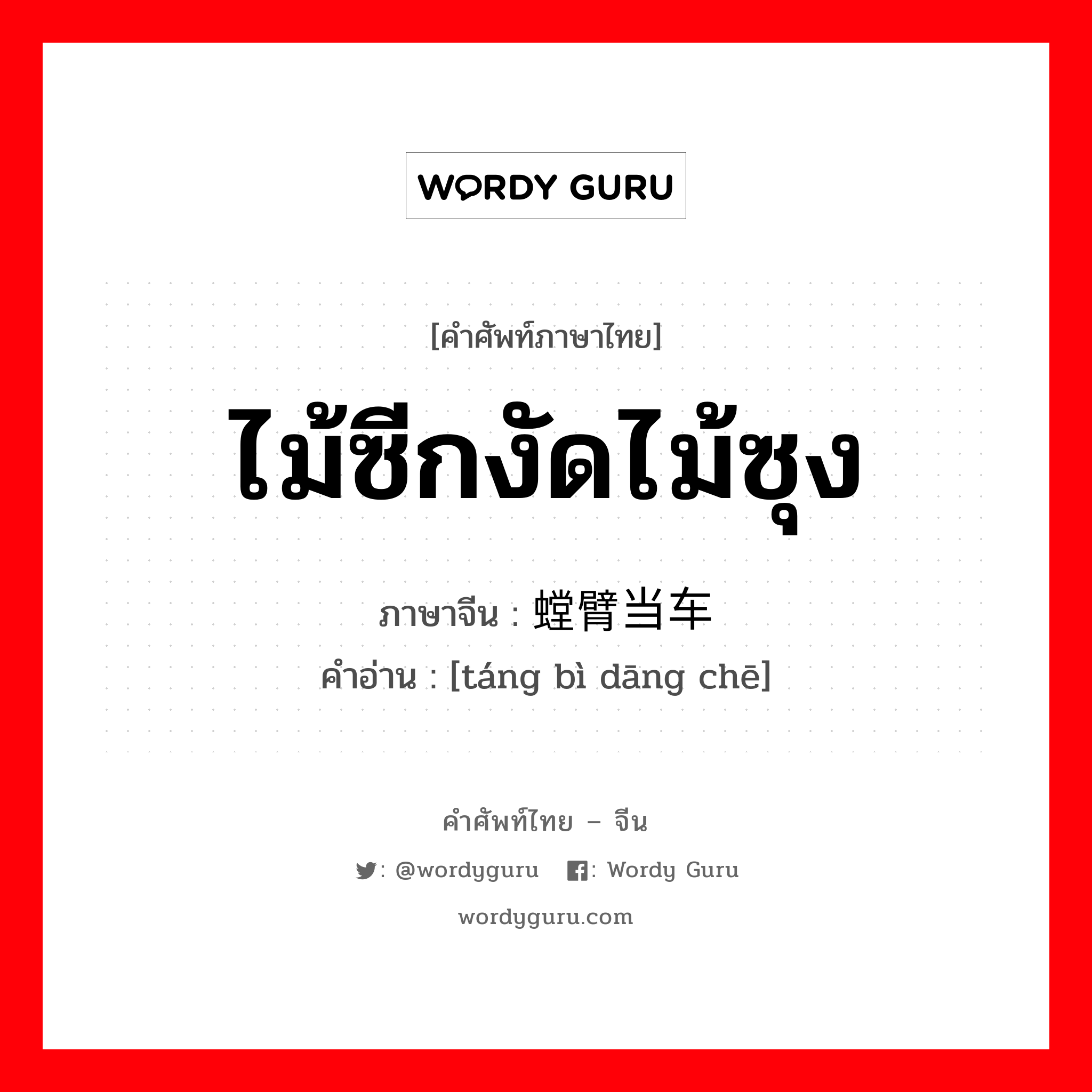 ไม้ซีกงัดไม้ซุง ภาษาจีนคืออะไร, คำศัพท์ภาษาไทย - จีน ไม้ซีกงัดไม้ซุง ภาษาจีน 螳臂当车 คำอ่าน [táng bì dāng chē]