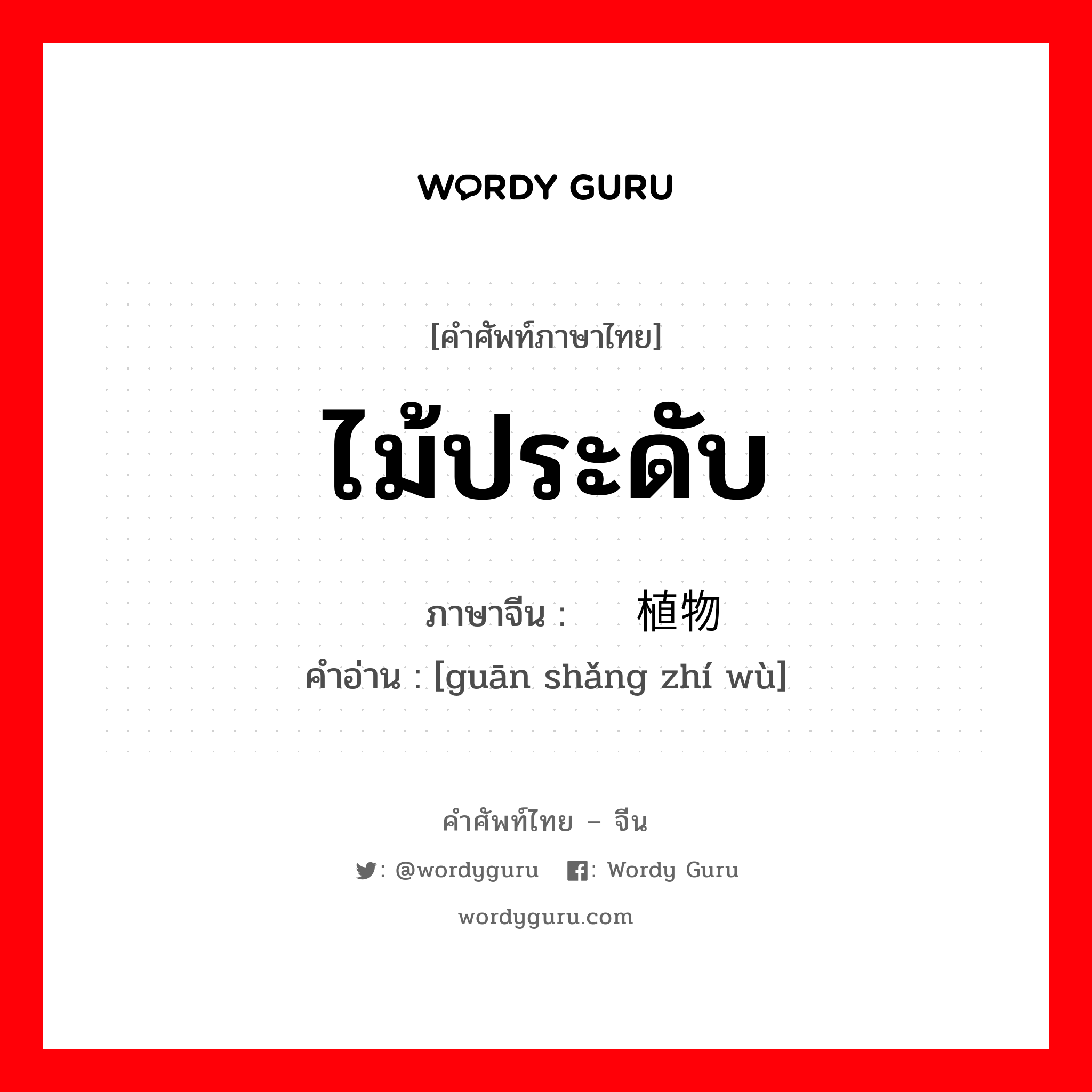 ไม้ประดับ ภาษาจีนคืออะไร, คำศัพท์ภาษาไทย - จีน ไม้ประดับ ภาษาจีน 观赏植物 คำอ่าน [guān shǎng zhí wù]