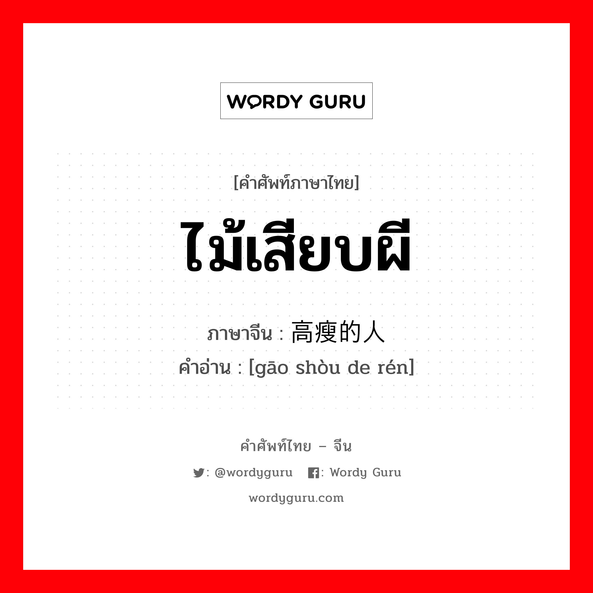 高瘦的人 ภาษาไทย?, คำศัพท์ภาษาไทย - จีน 高瘦的人 ภาษาจีน ไม้เสียบผี คำอ่าน [gāo shòu de rén]