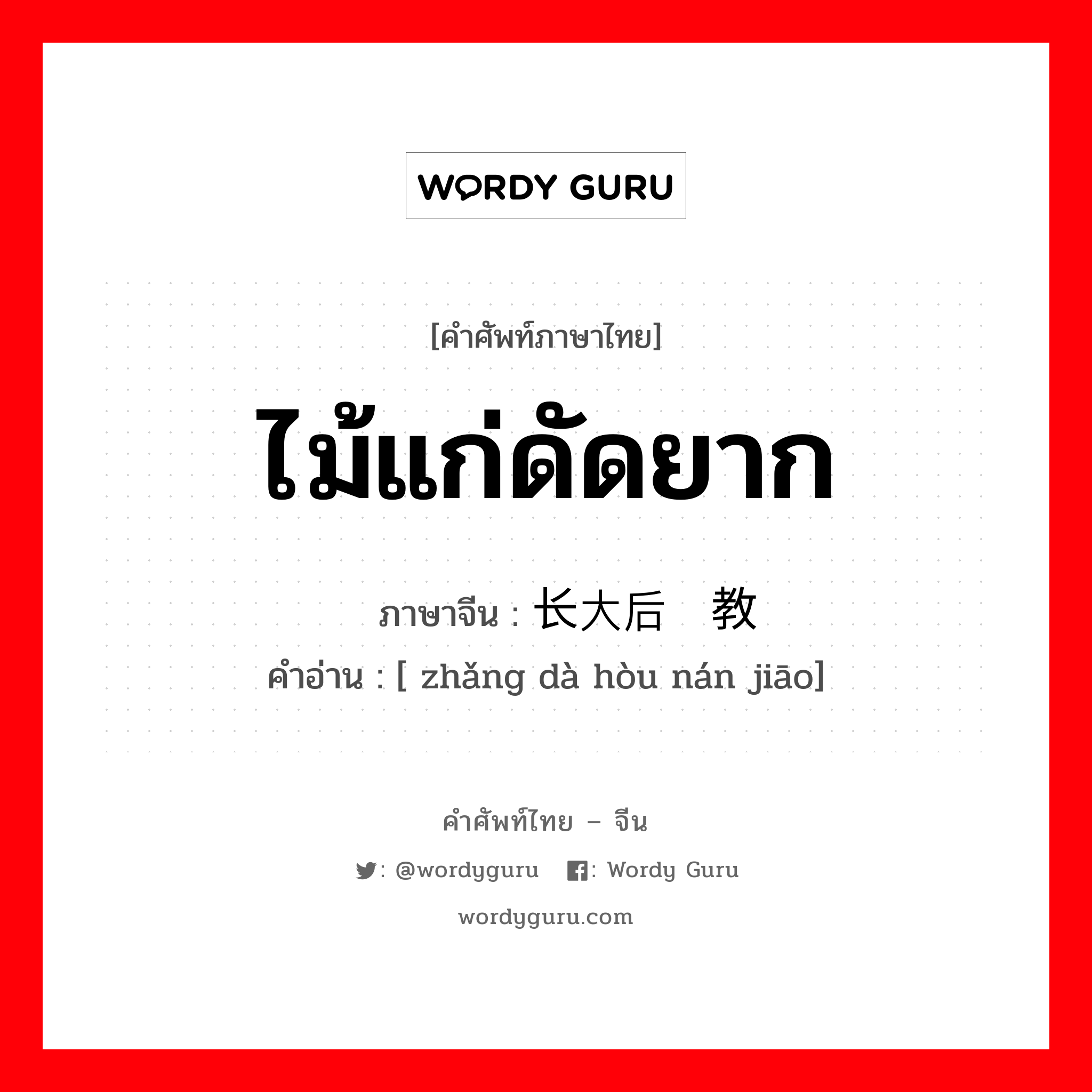 ไม้แก่ดัดยาก ภาษาจีนคืออะไร, คำศัพท์ภาษาไทย - จีน ไม้แก่ดัดยาก ภาษาจีน 长大后难教 คำอ่าน [ zhǎng dà hòu nán jiāo]