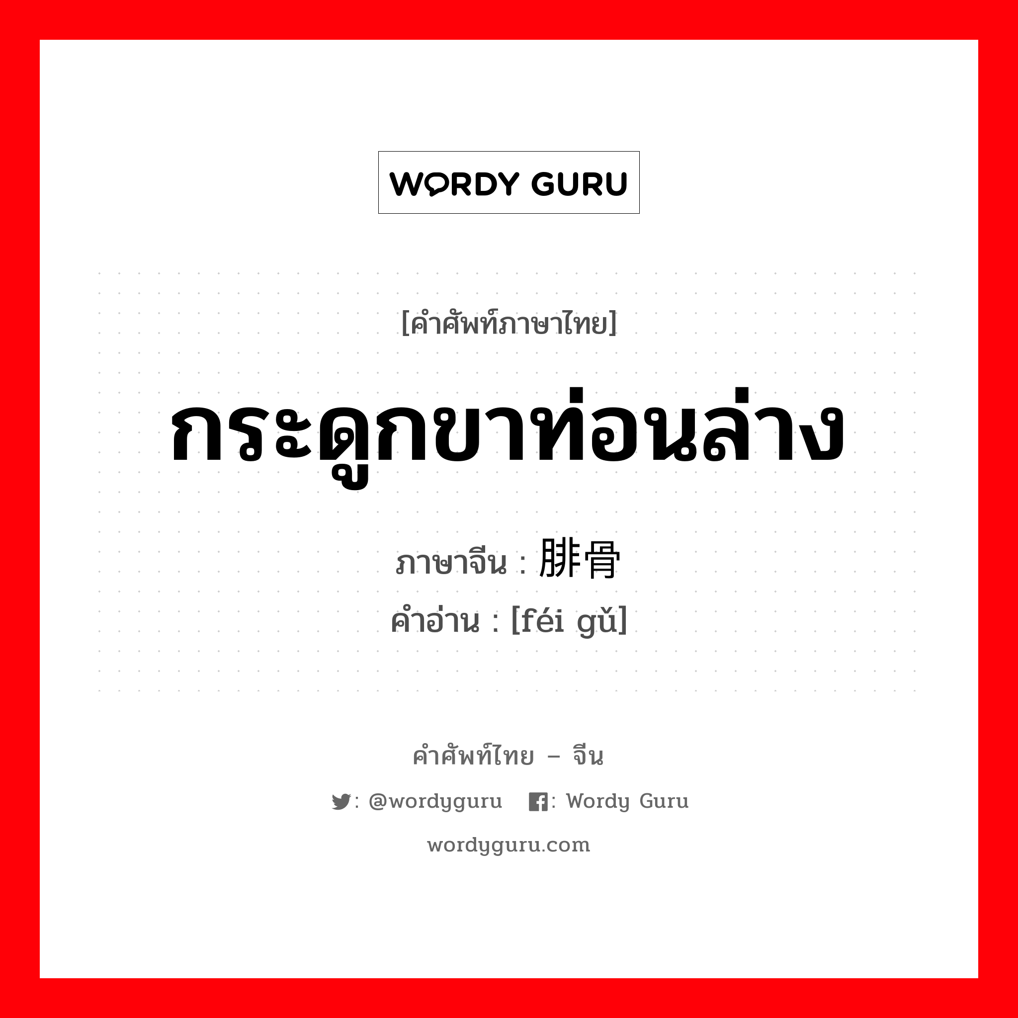 กระดูกขาท่อนล่าง ภาษาจีนคืออะไร, คำศัพท์ภาษาไทย - จีน กระดูกขาท่อนล่าง ภาษาจีน 腓骨 คำอ่าน [féi gǔ]