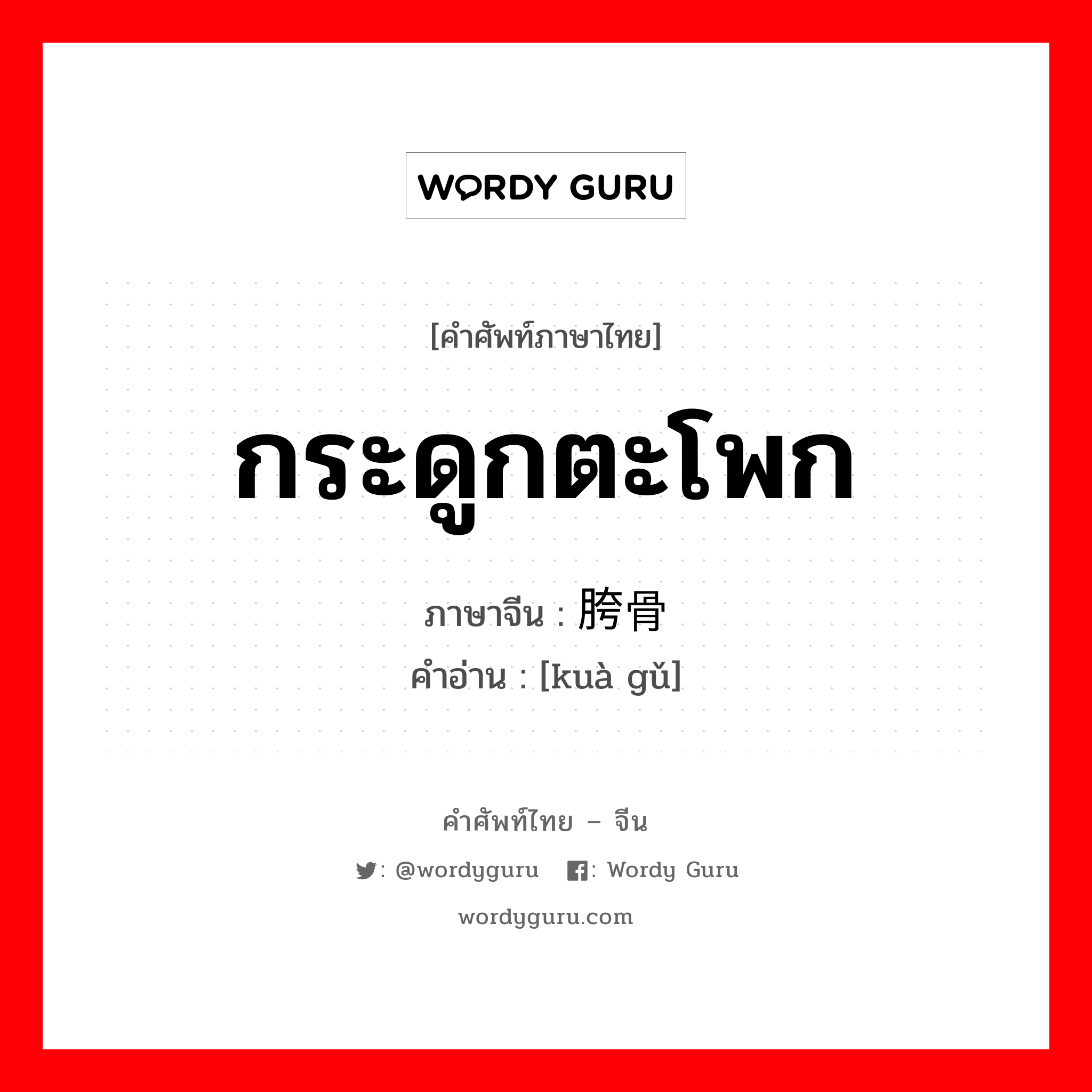 กระดูกตะโพก ภาษาจีนคืออะไร, คำศัพท์ภาษาไทย - จีน กระดูกตะโพก ภาษาจีน 胯骨 คำอ่าน [kuà gǔ]