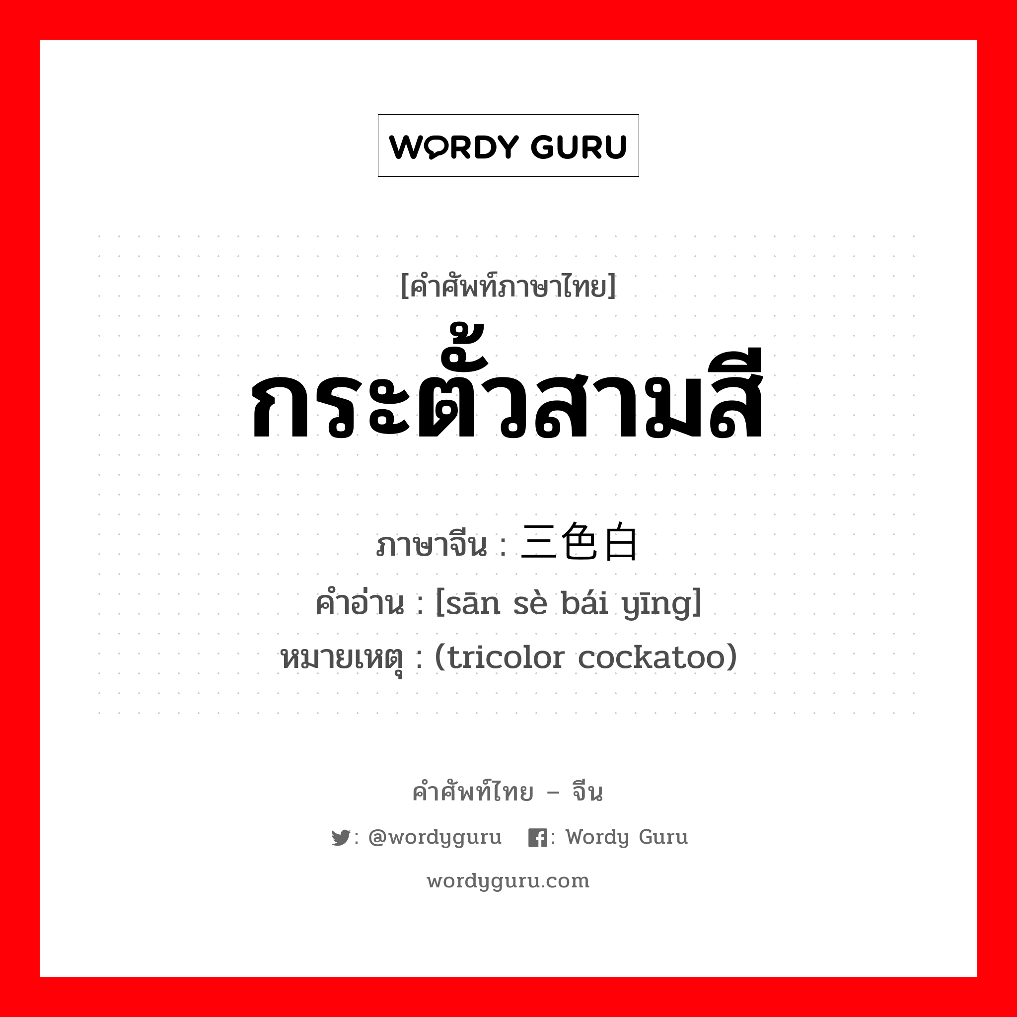 กระตั้วสามสี ภาษาจีนคืออะไร, คำศัพท์ภาษาไทย - จีน กระตั้วสามสี ภาษาจีน 三色白鹦 คำอ่าน [sān sè bái yīng] หมายเหตุ (tricolor cockatoo)