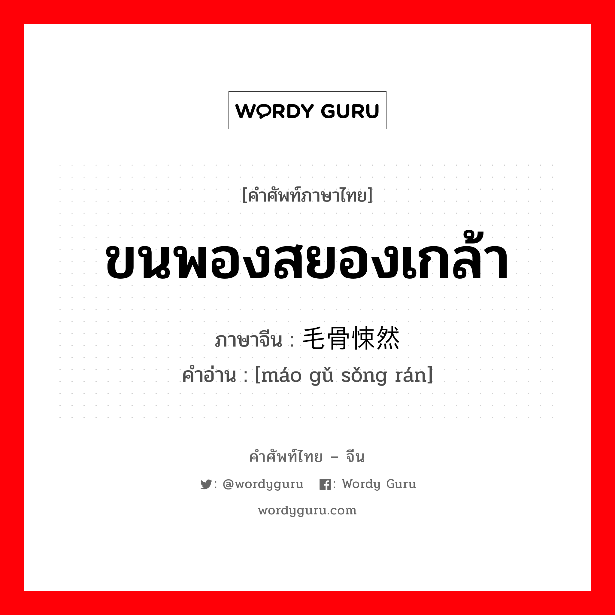 ขนพองสยองเกล้า ภาษาจีนคืออะไร, คำศัพท์ภาษาไทย - จีน ขนพองสยองเกล้า ภาษาจีน 毛骨悚然 คำอ่าน [máo gǔ sǒng rán]