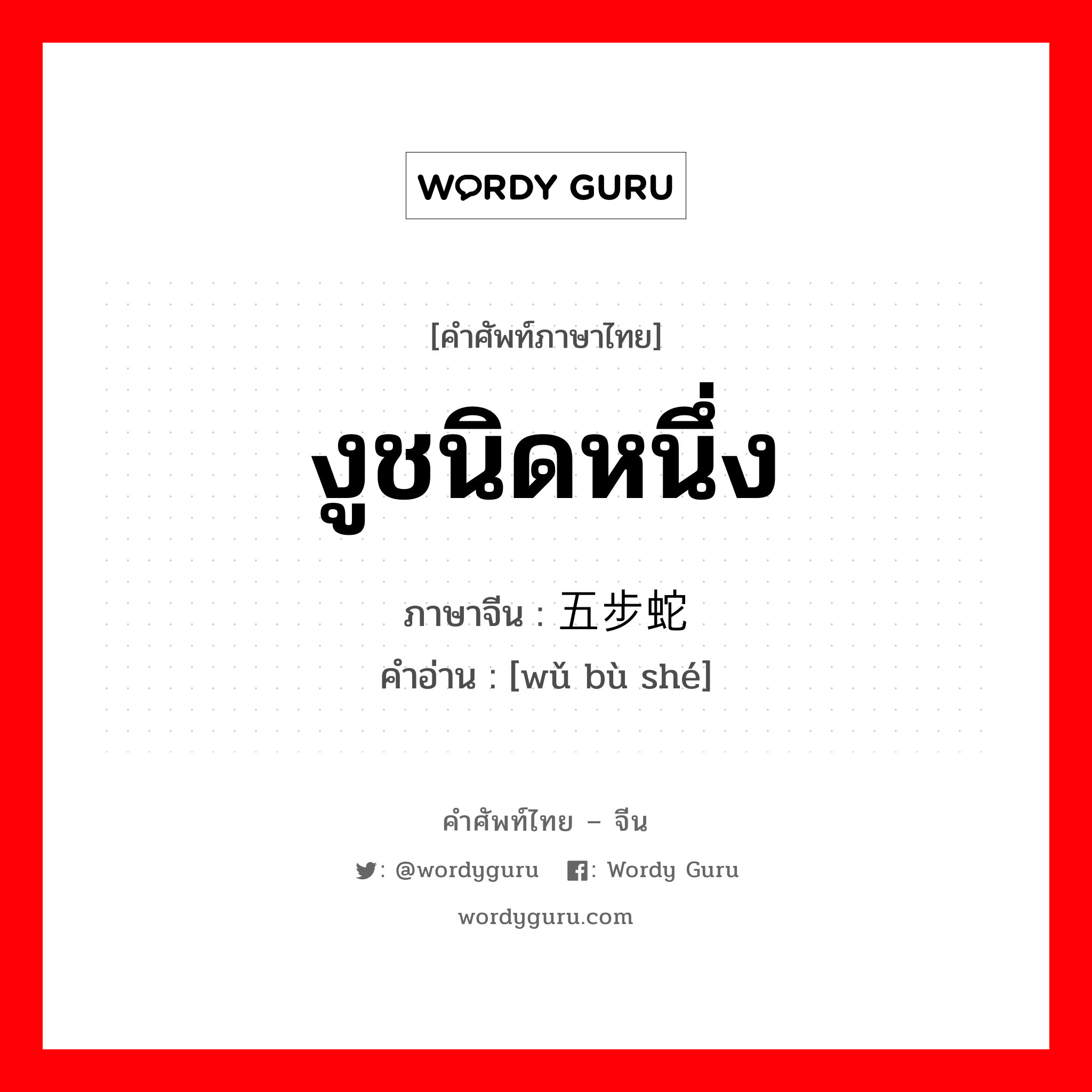 งูชนิดหนึ่ง ภาษาจีนคืออะไร, คำศัพท์ภาษาไทย - จีน งูชนิดหนึ่ง ภาษาจีน 五步蛇 คำอ่าน [wǔ bù shé]