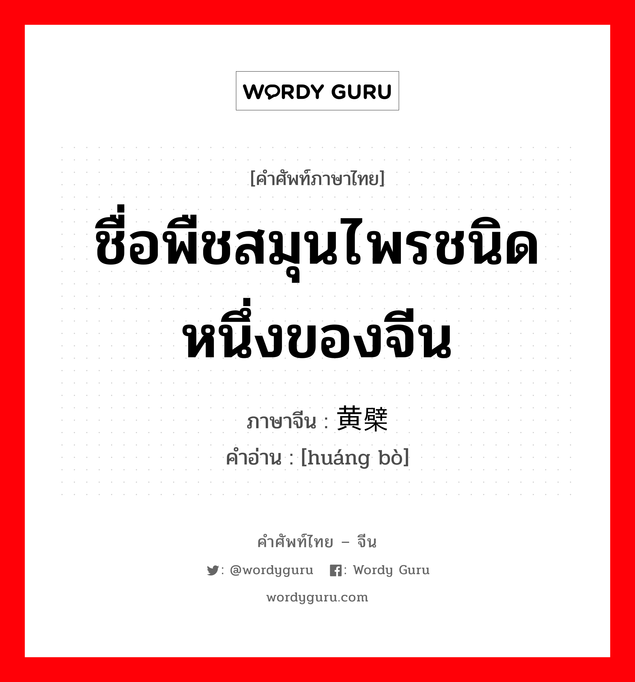 ชื่อพืชสมุนไพรชนิดหนึ่งของจีน ภาษาจีนคืออะไร, คำศัพท์ภาษาไทย - จีน ชื่อพืชสมุนไพรชนิดหนึ่งของจีน ภาษาจีน 黄檗 คำอ่าน [huáng bò]