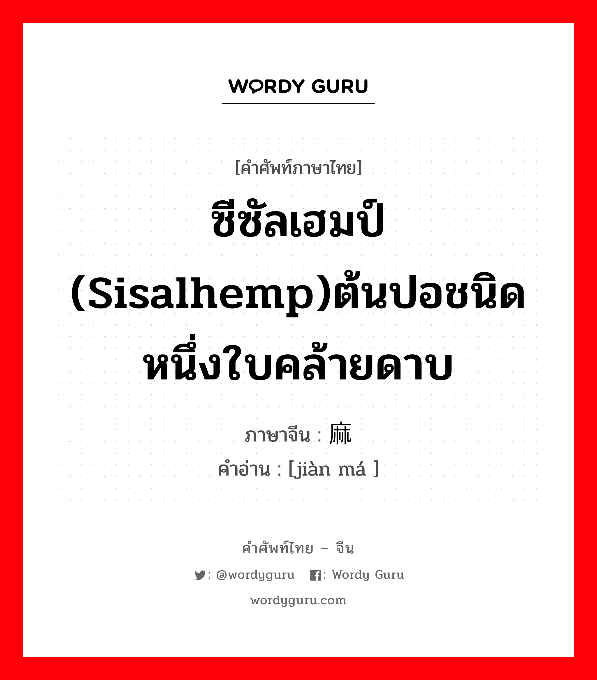 ซีซัลเฮมป์ (sisalhemp)ต้นปอชนิดหนึ่งใบคล้ายดาบ ภาษาจีนคืออะไร, คำศัพท์ภาษาไทย - จีน ซีซัลเฮมป์ (sisalhemp)ต้นปอชนิดหนึ่งใบคล้ายดาบ ภาษาจีน 剑麻 คำอ่าน [jiàn má ]