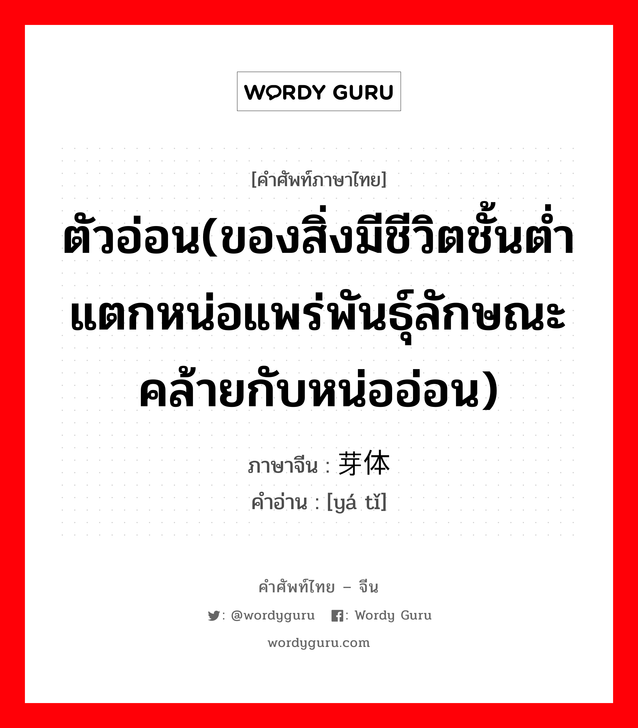 ตัวอ่อน ภาษาจีนคืออะไร, คำศัพท์ภาษาไทย - จีน ตัวอ่อน(ของสิ่งมีชีวิตชั้นต่ำแตกหน่อแพร่พันธุ์ลักษณะคล้ายกับหน่ออ่อน) ภาษาจีน 芽体 คำอ่าน [yá tǐ]