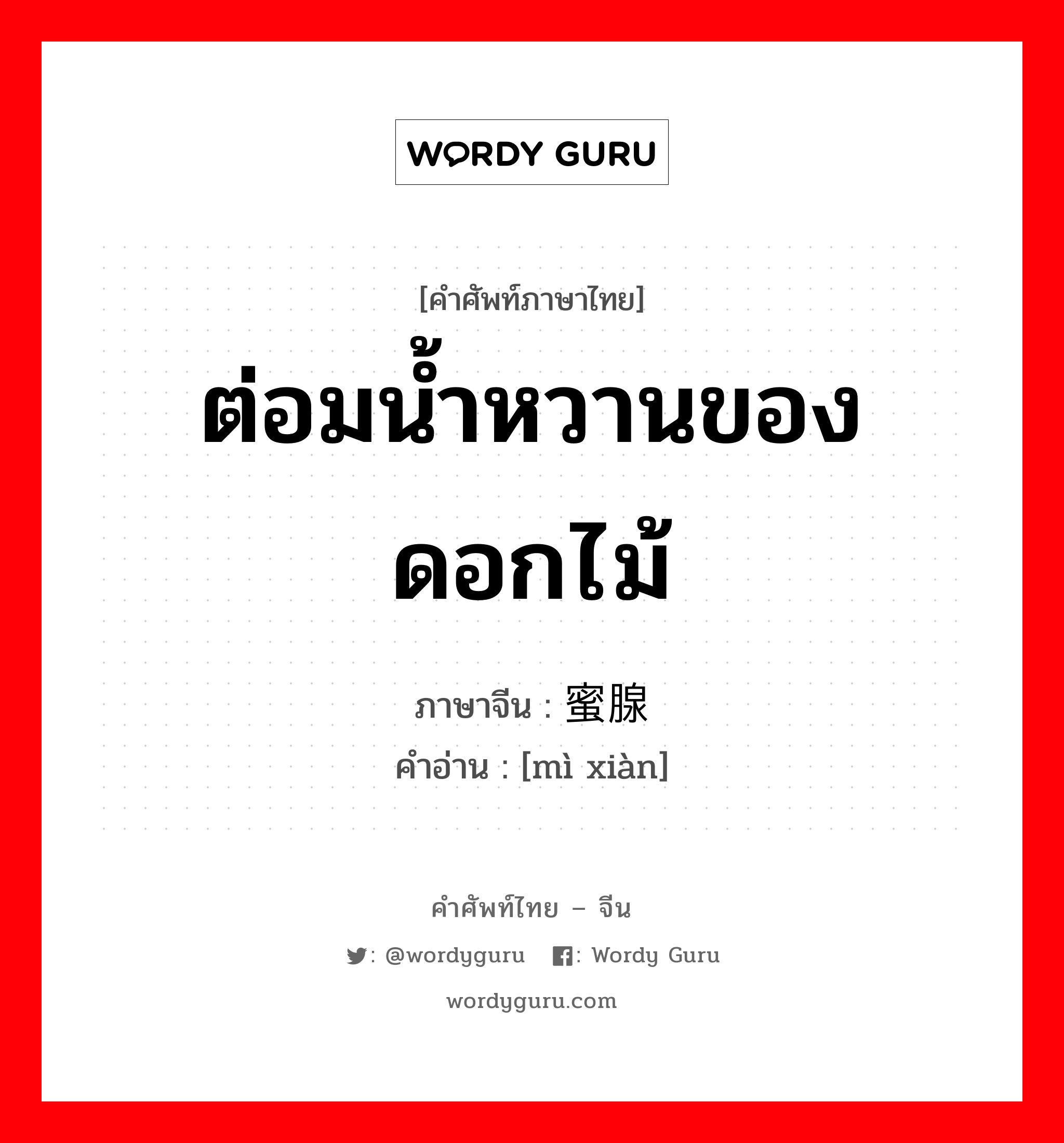 ต่อมน้ำหวานของดอกไม้ ภาษาจีนคืออะไร, คำศัพท์ภาษาไทย - จีน ต่อมน้ำหวานของดอกไม้ ภาษาจีน 蜜腺 คำอ่าน [mì xiàn]