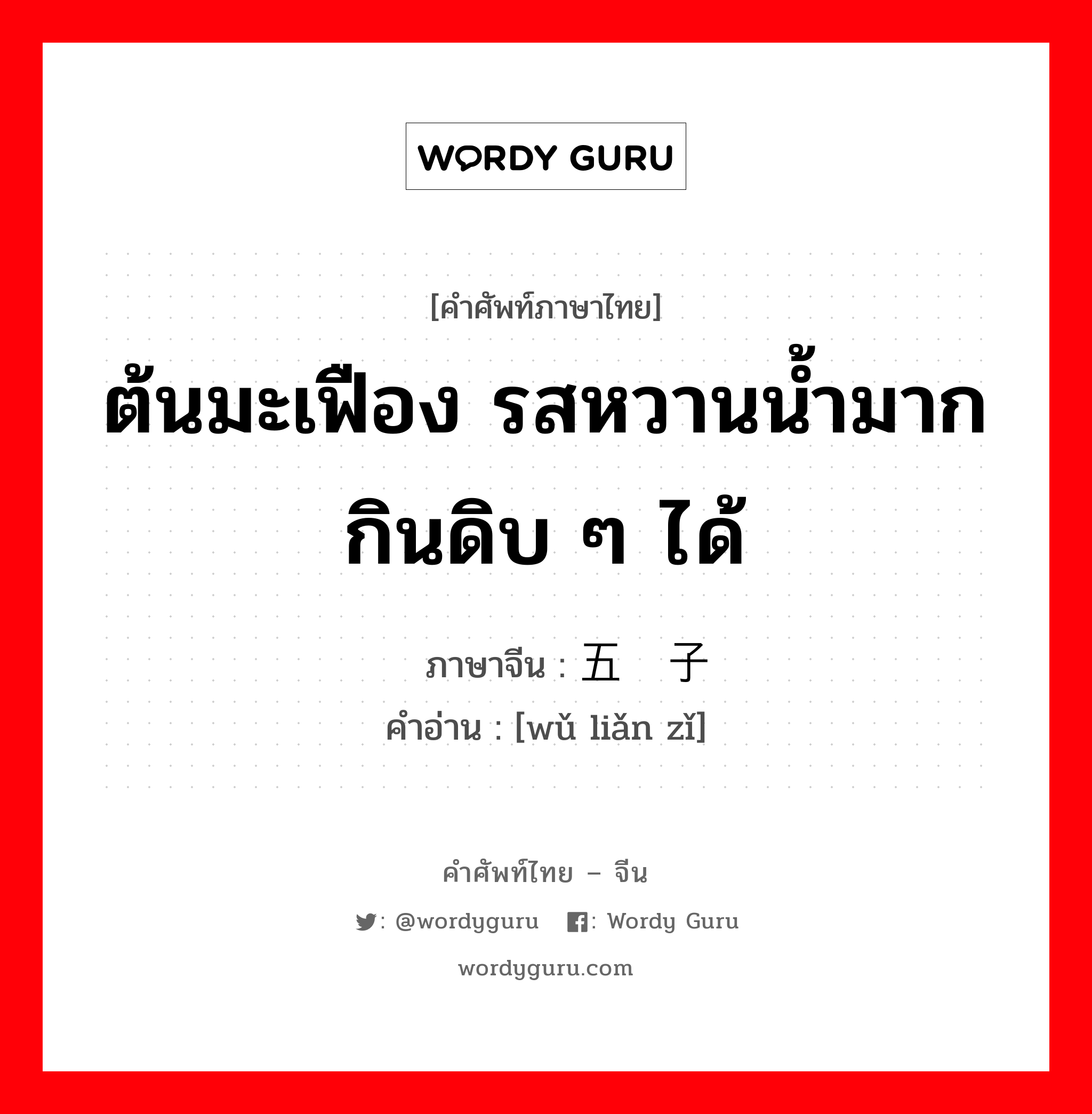 ต้นมะเฟือง รสหวานน้ำมาก กินดิบ ๆ ได้ ภาษาจีนคืออะไร, คำศัพท์ภาษาไทย - จีน ต้นมะเฟือง รสหวานน้ำมาก กินดิบ ๆ ได้ ภาษาจีน 五敛子 คำอ่าน [wǔ liǎn zǐ]