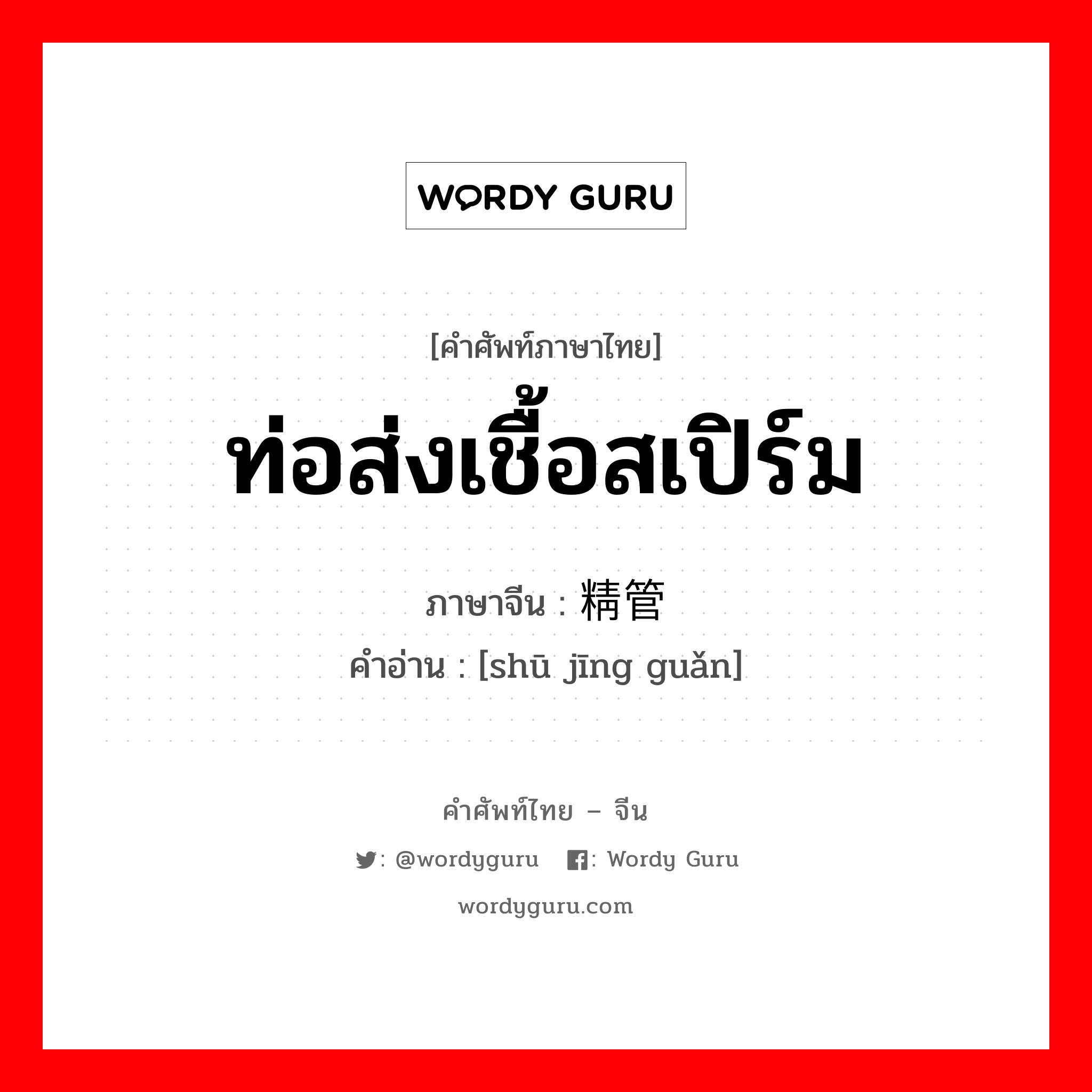 ท่อส่งเชื้อสเปิร์ม ภาษาจีนคืออะไร, คำศัพท์ภาษาไทย - จีน ท่อส่งเชื้อสเปิร์ม ภาษาจีน 输精管 คำอ่าน [shū jīng guǎn]