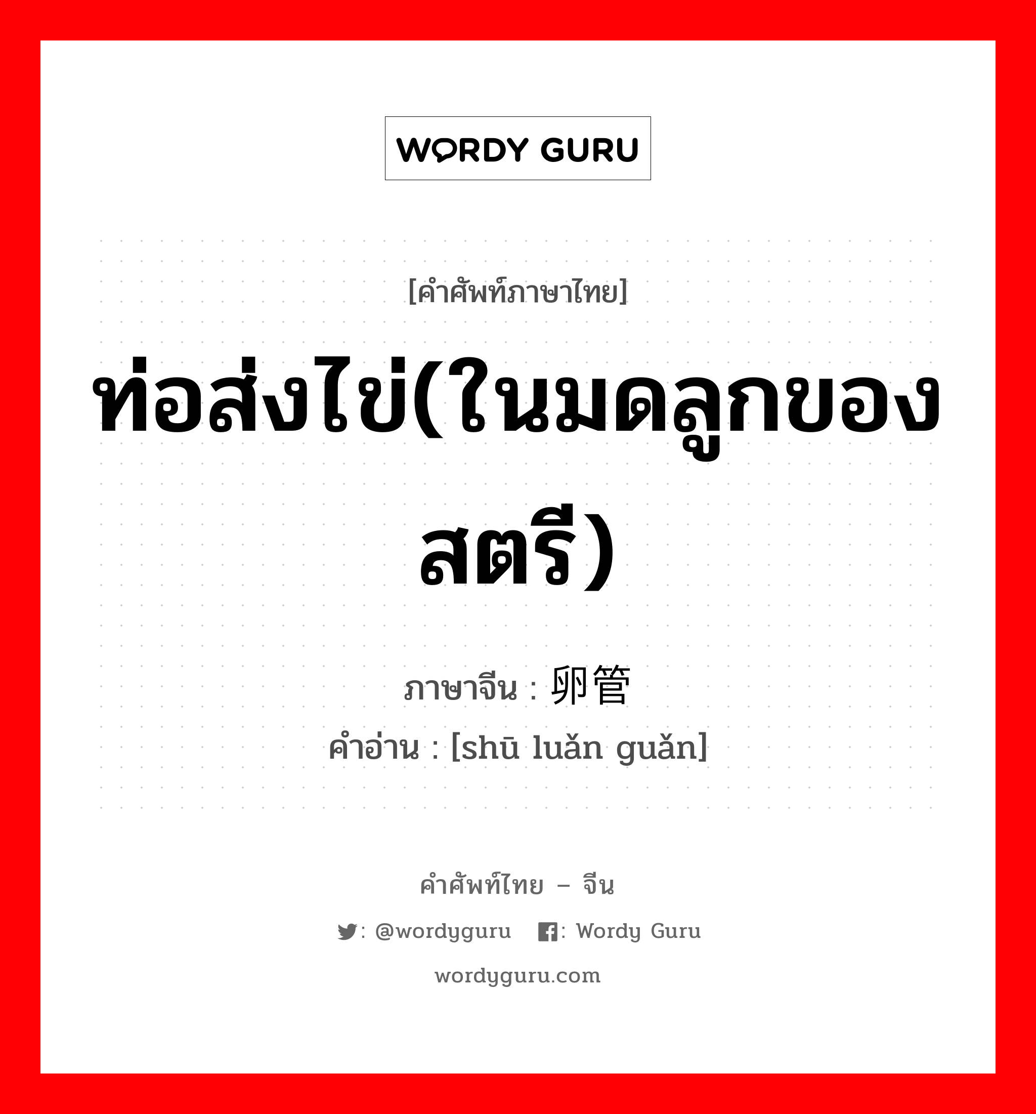 ท่อส่งไข่(ในมดลูกของสตรี) ภาษาจีนคืออะไร, คำศัพท์ภาษาไทย - จีน ท่อส่งไข่(ในมดลูกของสตรี) ภาษาจีน 输卵管 คำอ่าน [shū luǎn guǎn]