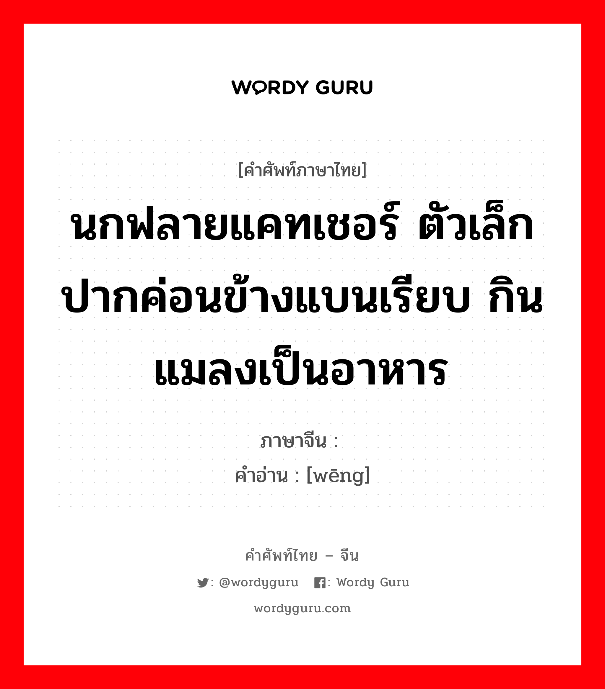 นกฟลายแคทเชอร์ ตัวเล็กปากค่อนข้างแบนเรียบ กินแมลงเป็นอาหาร ภาษาจีนคืออะไร, คำศัพท์ภาษาไทย - จีน นกฟลายแคทเชอร์ ตัวเล็กปากค่อนข้างแบนเรียบ กินแมลงเป็นอาหาร ภาษาจีน 鹟 คำอ่าน [wēng]